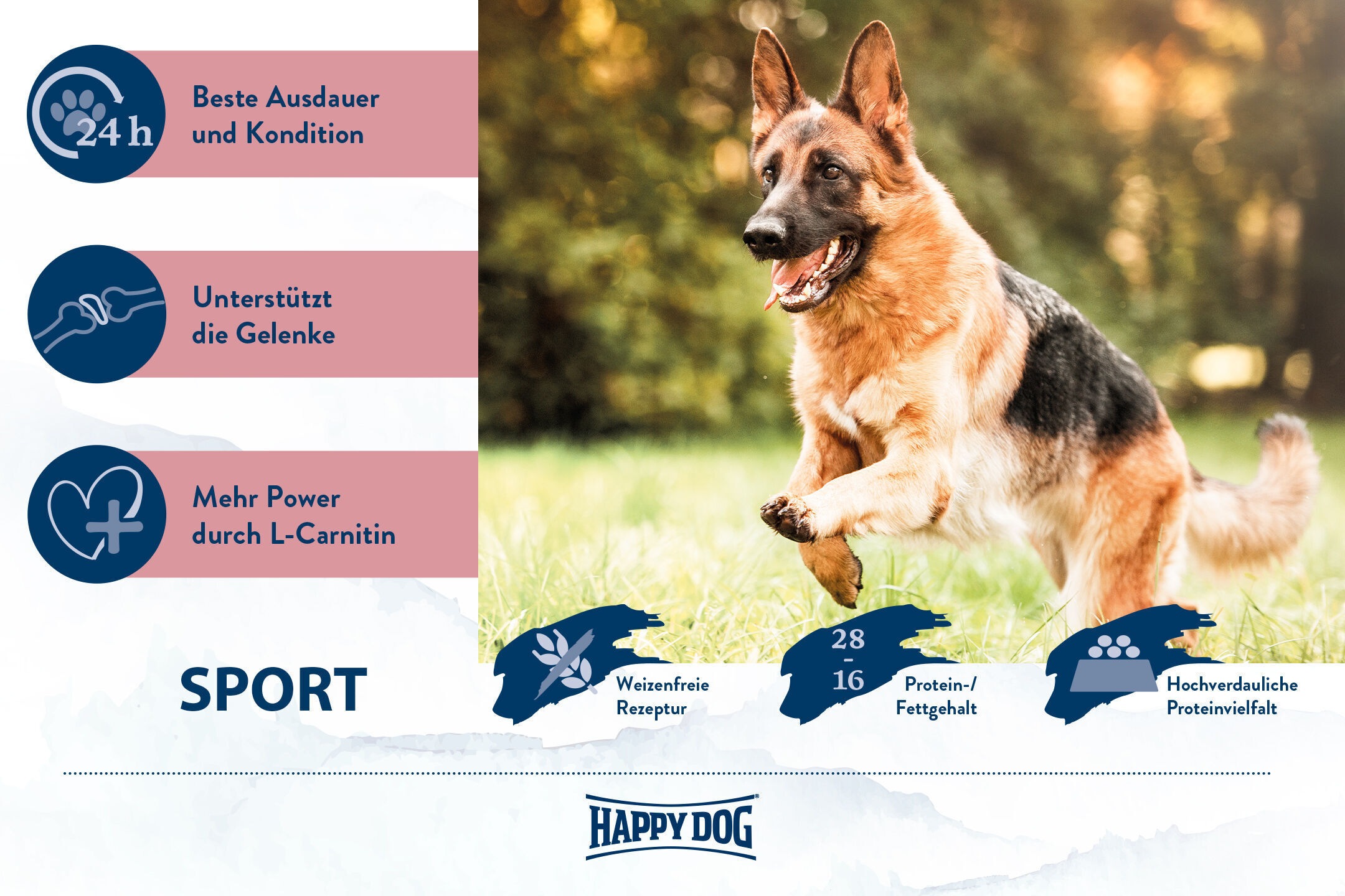 Ein Hund springt im Grünen. Links daneben Text: "Beste Ausdauer und Kondition", "Unterstützt die Gelenke", "Mehr Power durch L-Carnitin". Darunter: "Weizenfreie Rezeptur", "28/16 Protein-/Fettgehalt", "Hochverdauliche Proteinvielfalt". Happydog-Logo.