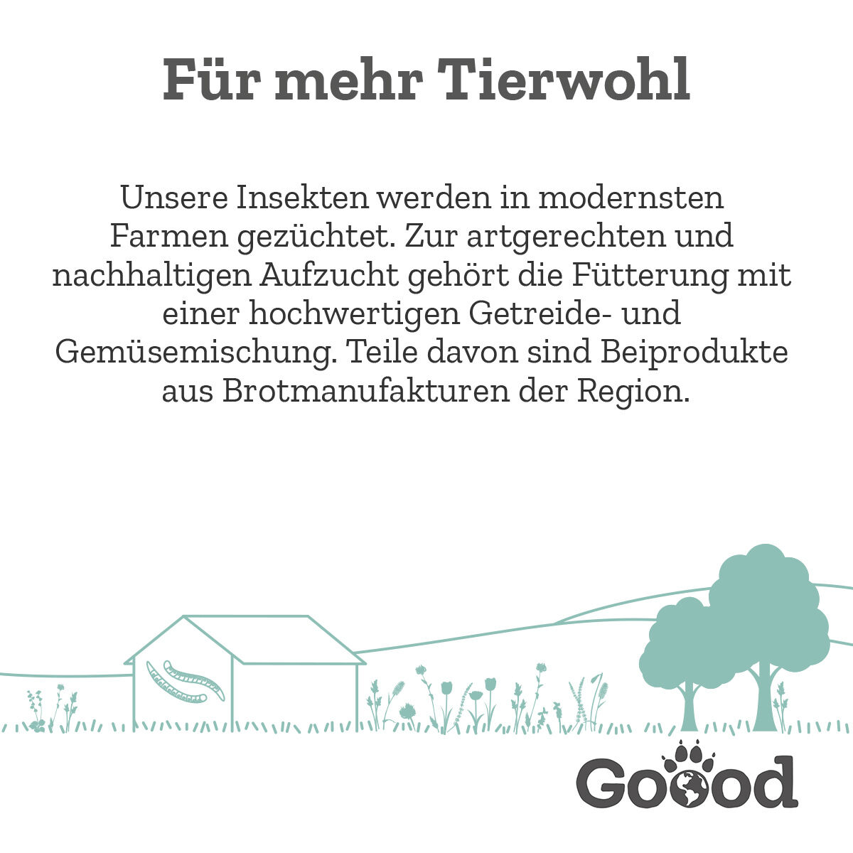 Text: „Für mehr Tierwohl. Unsere Insekten werden in modernsten Farmen gezüchtet, gefüttert mit hochwertiger Getreide- und Gemüsemischung, teils aus regionalen Brotmanufakturen.“ Grafik: Haus und Bäume in ländlicher Umgebung. Logo Goood unten rechts.