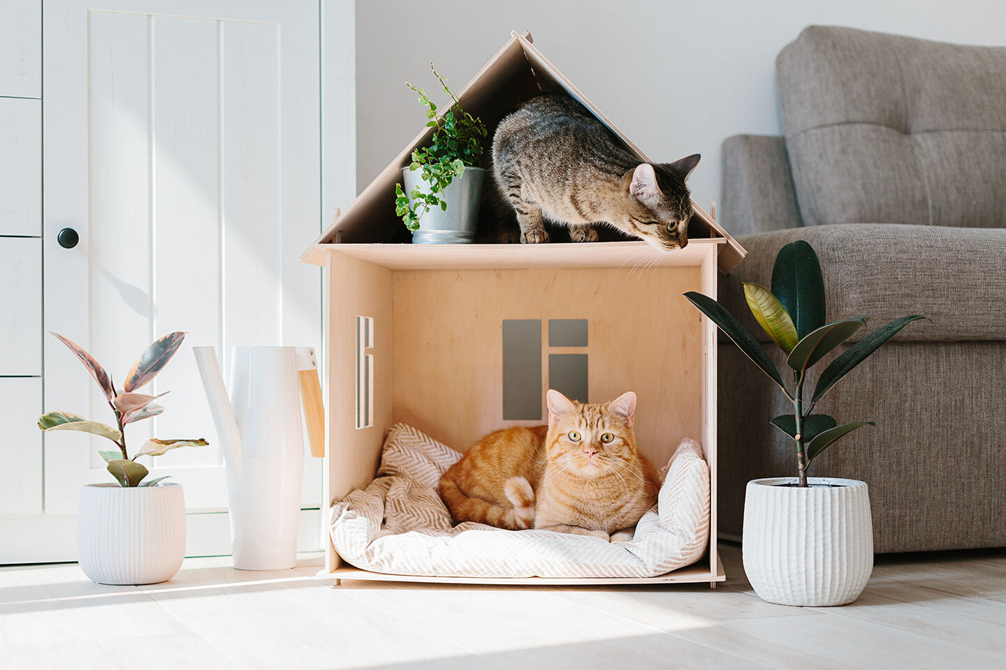 Zwei Katzen liegen in einem Haus aus Karton.