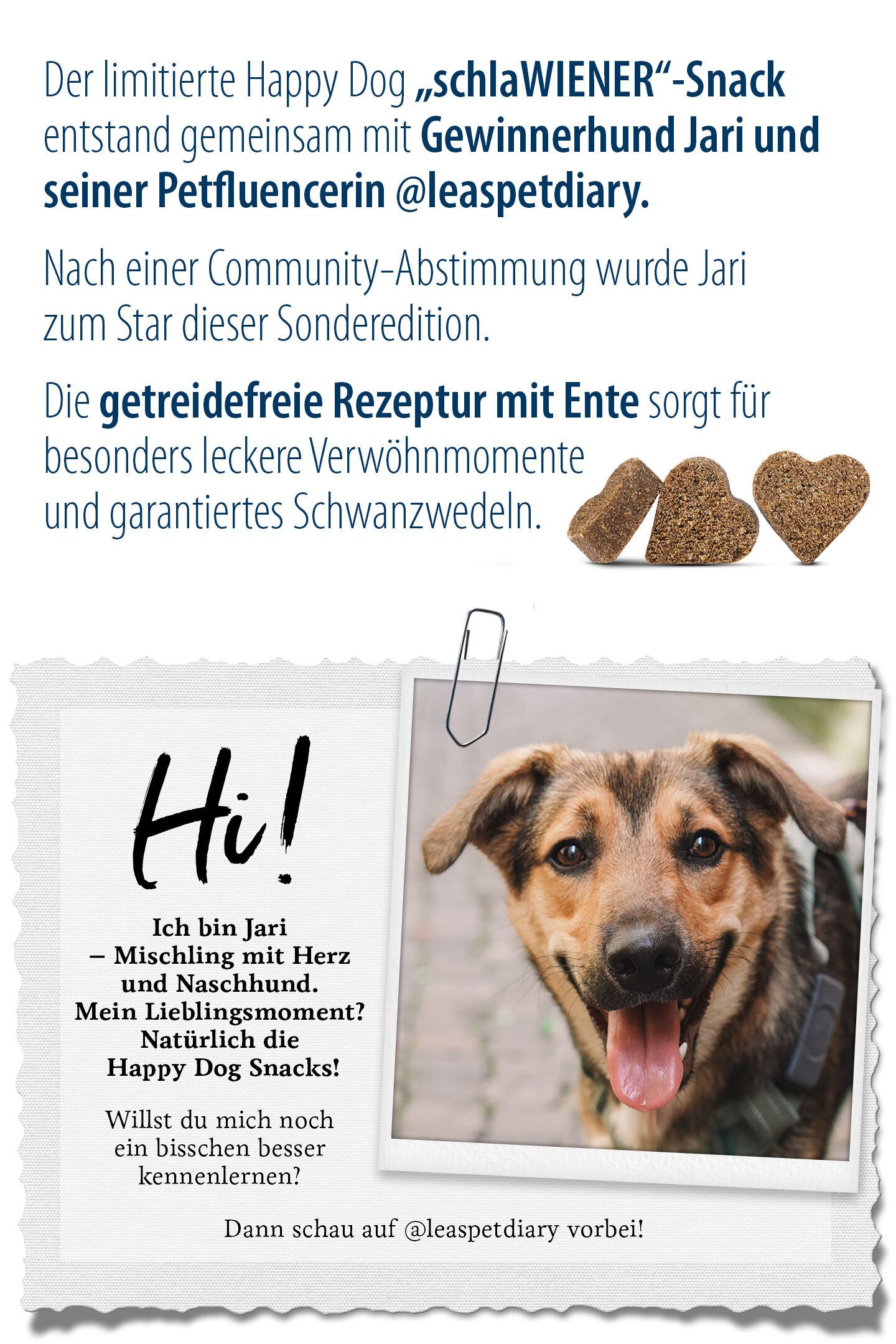Ein Bild des Hundes "Jari" und eine Beschreibung zur Entstehung des SchlaWIENER Soft Snack von Happy Dog