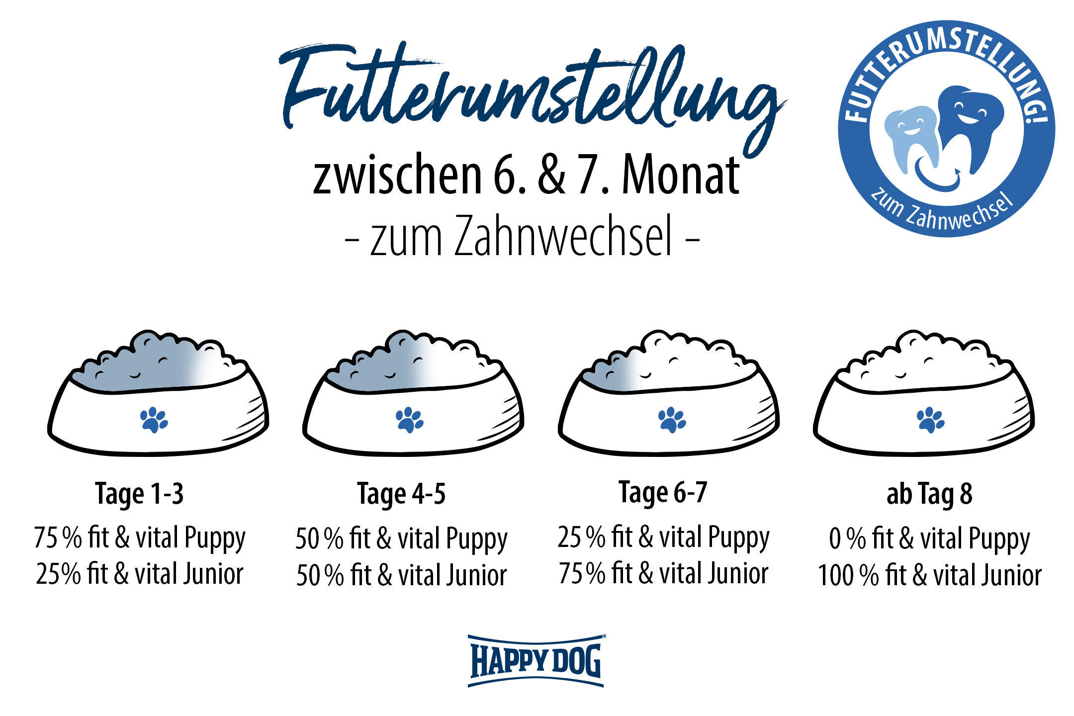 Illustration mit Futternäpfen zeigt schrittweise Futterumstellung für Hunde zwischen 6. und 7. Monat, zur Unterstützung des Zahnwechsels. Marke Happydog inkludiert.