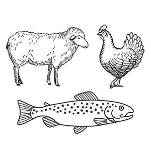 Icon eines Huhns, eines Schafs und eines Fischs.