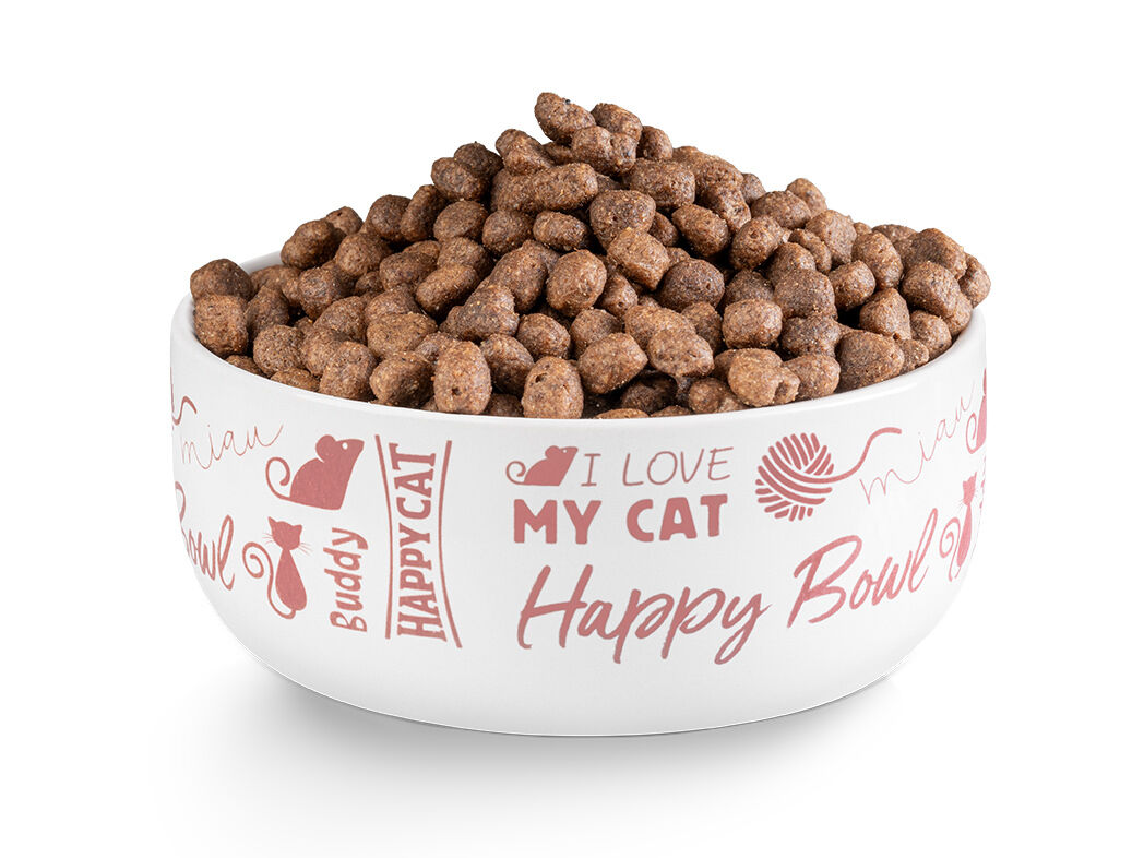 Trockenfutter in einem weißen Keramiknapf mit Happy Cat Design