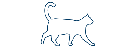 Gezeichnete Katze, die mit erhobenem Schwanz von links nach rechts läuft