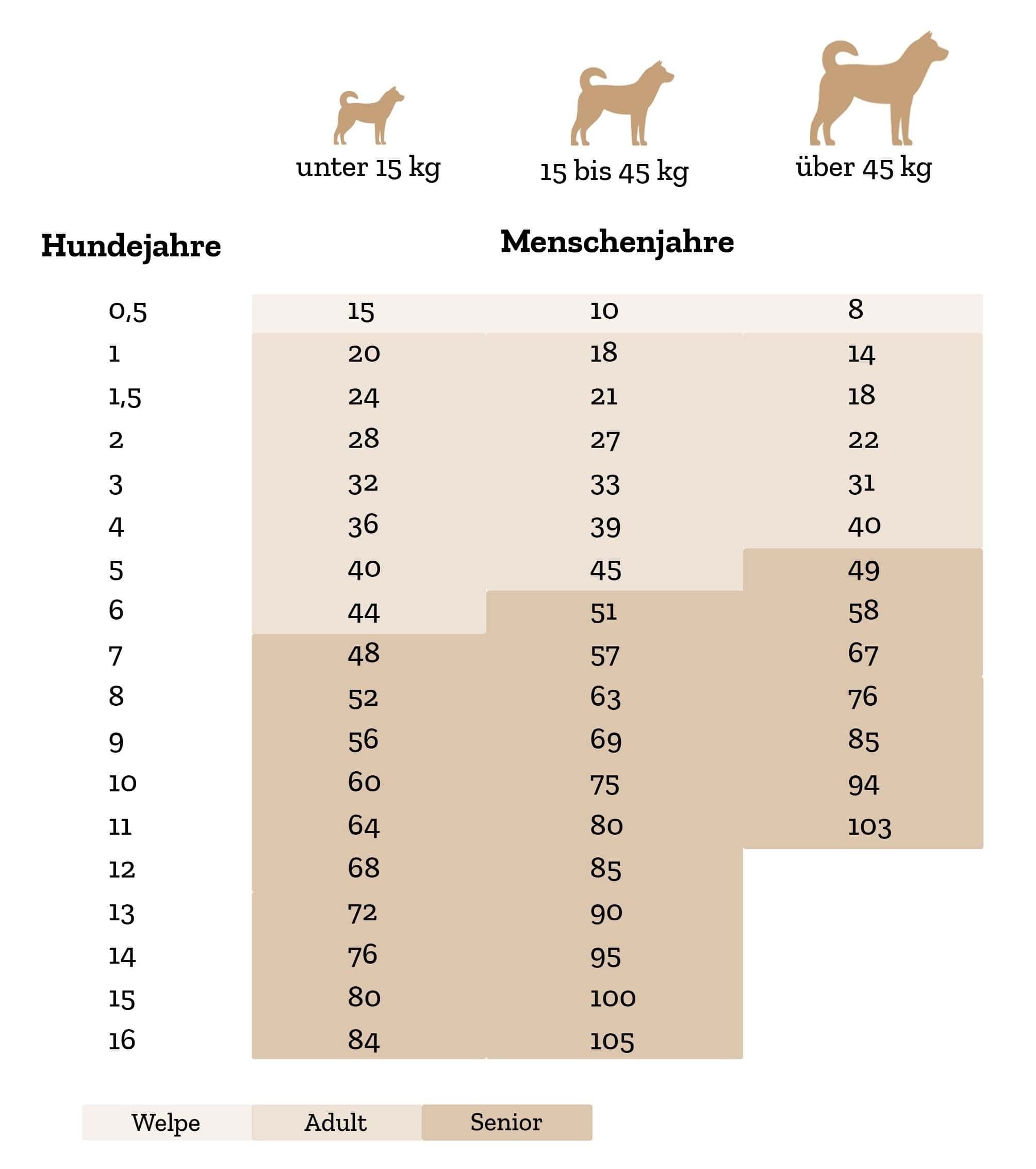 Die Umrechnung von Hundejahren in Menschenjahren ist abgebildet.