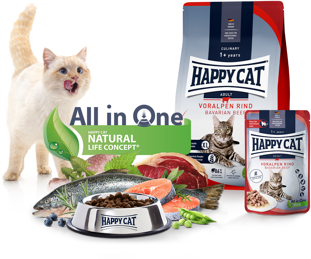 Happy Cat Culinary Voralpenrind Trocken- und Nassfutter zusammen mit einer schleckenden Katze und einem Futternapf