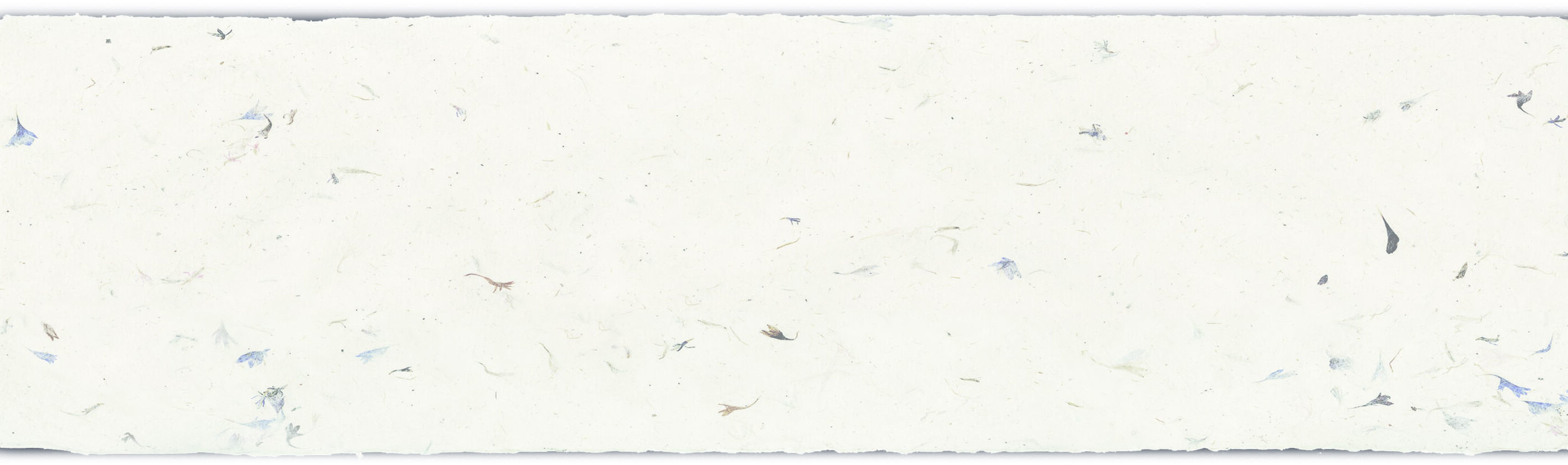 Papier mit Blüten, welches als Hintergrund verwendet werden kann.