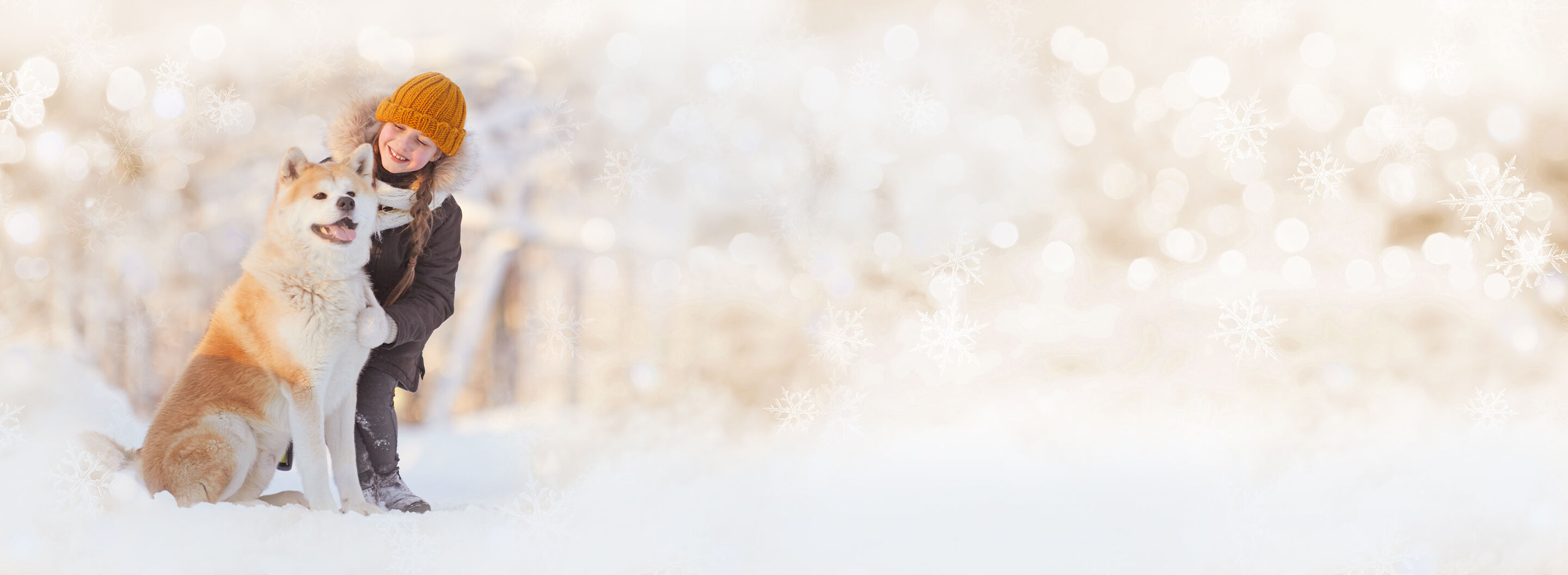 Winterliche Landschaft mit einem Kind, das mit ihrem Husky spazieren geht