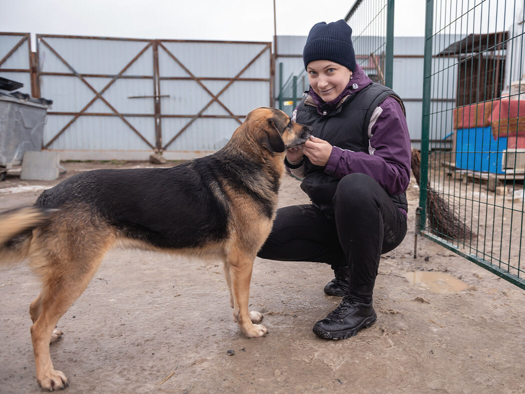 Pflegerin im Tierheim kümmert sich um einen Mischlingshund