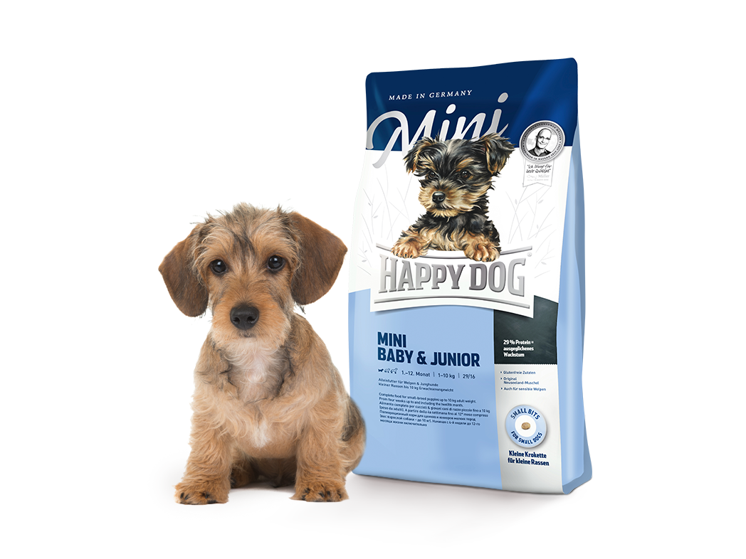 Ein kleiner brauner Hund sitzt neben einer Produktverpackung von Happy Dog Mini Baby&Junior.