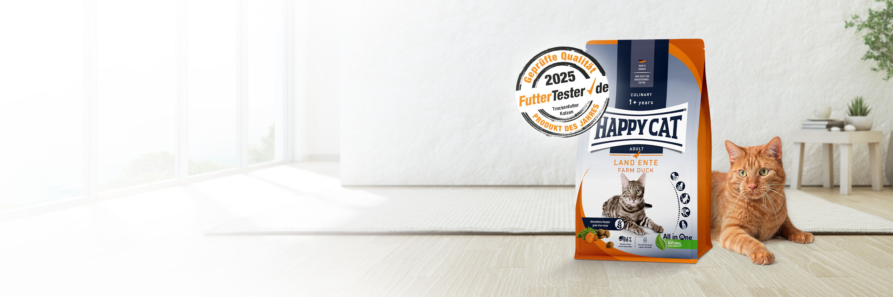 Eine rote Katze liegt im Wohnzimmer auf dem Boden. Neben ihr steht eine Packung Katzenfutter.