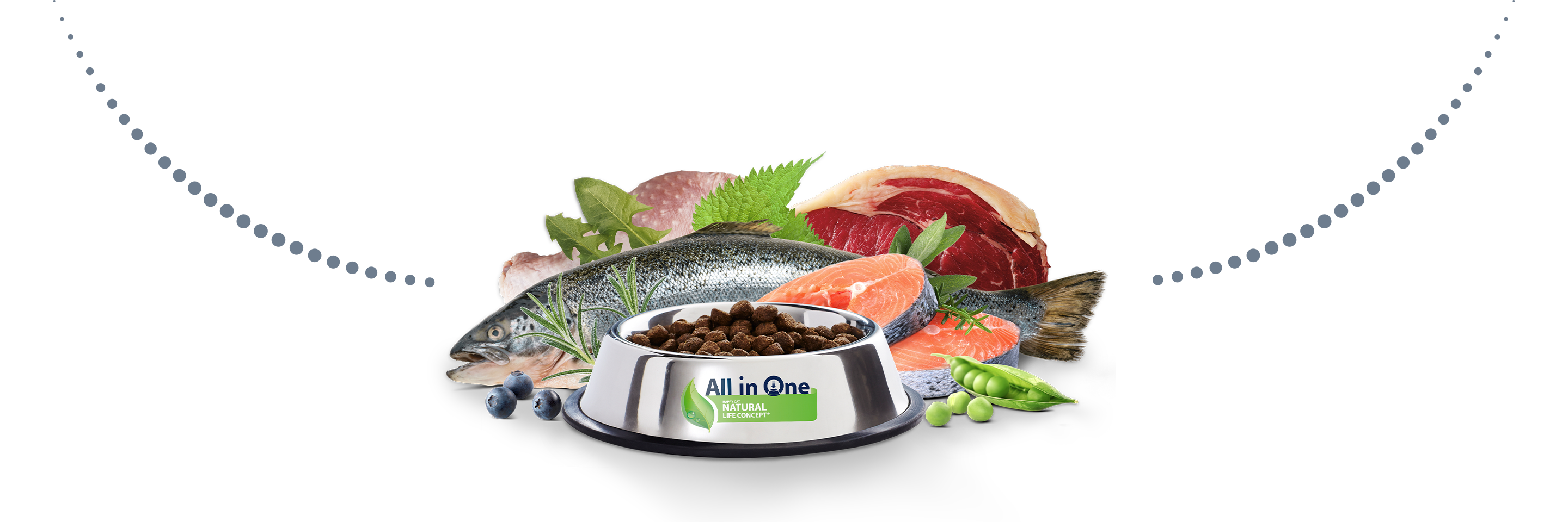 Edelstahlnapf gefรผllt mit Katzen-Trockenfutter und rohem Fisch und Fleisch drum herum sowie Erbsen, Heidelbeeren und Krรคutern