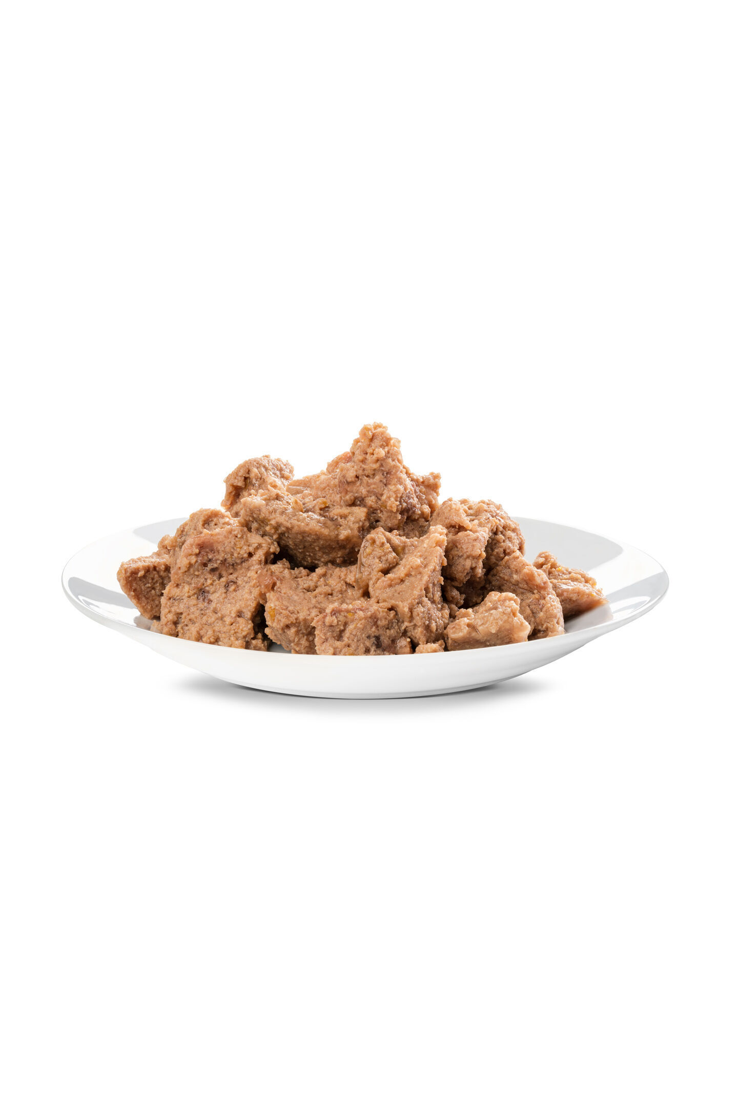 Ein weißer Teller mit Portion Mousse-ähnlichem Futter. Der Hintergrund ist weiß. Happydog könnte eine passende Marke sein.