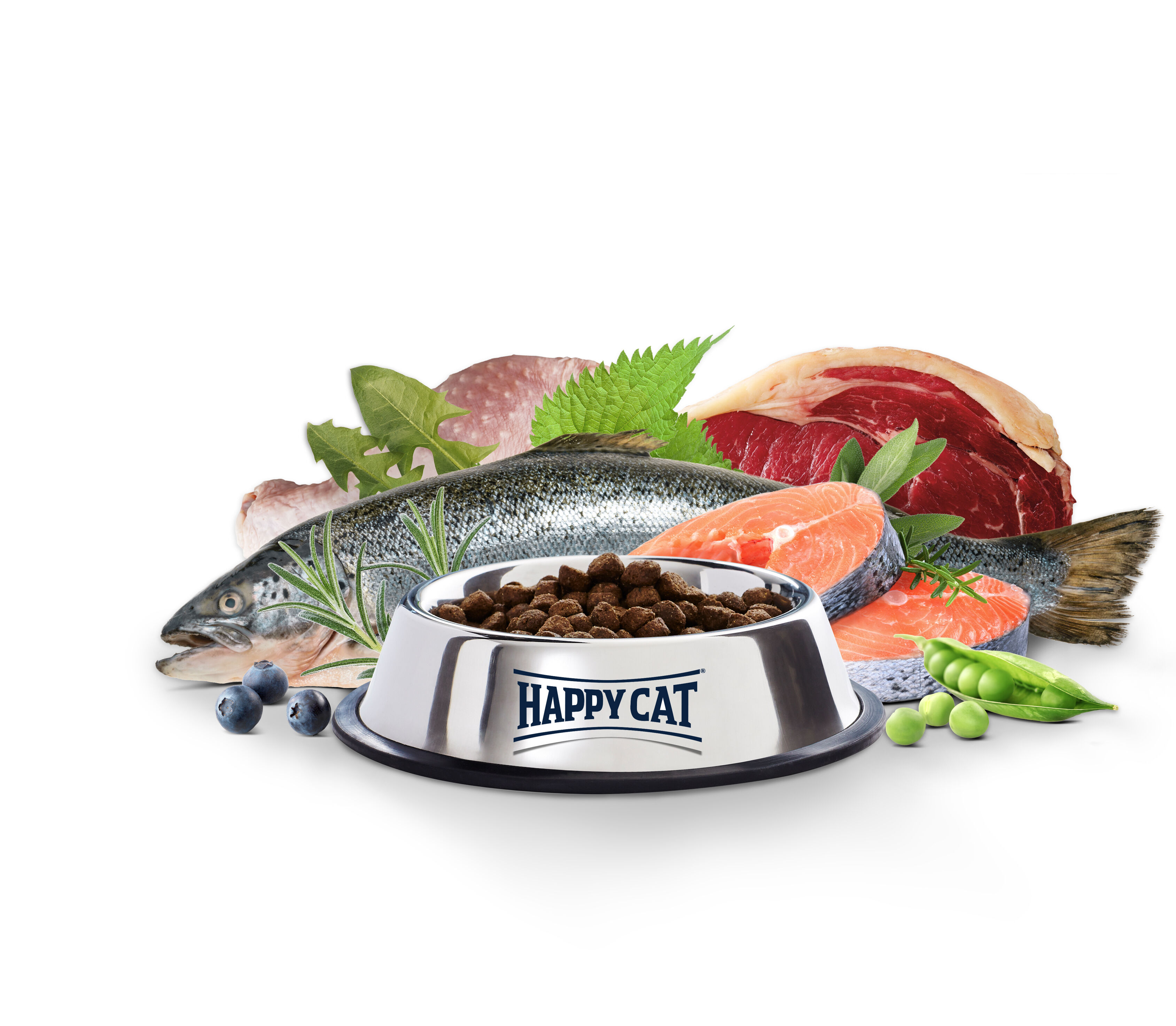 Napf gefüllt mit Trockenfutter und dahinter liegen frische Zutaten wie Fisch, Fleisch und Gemüse