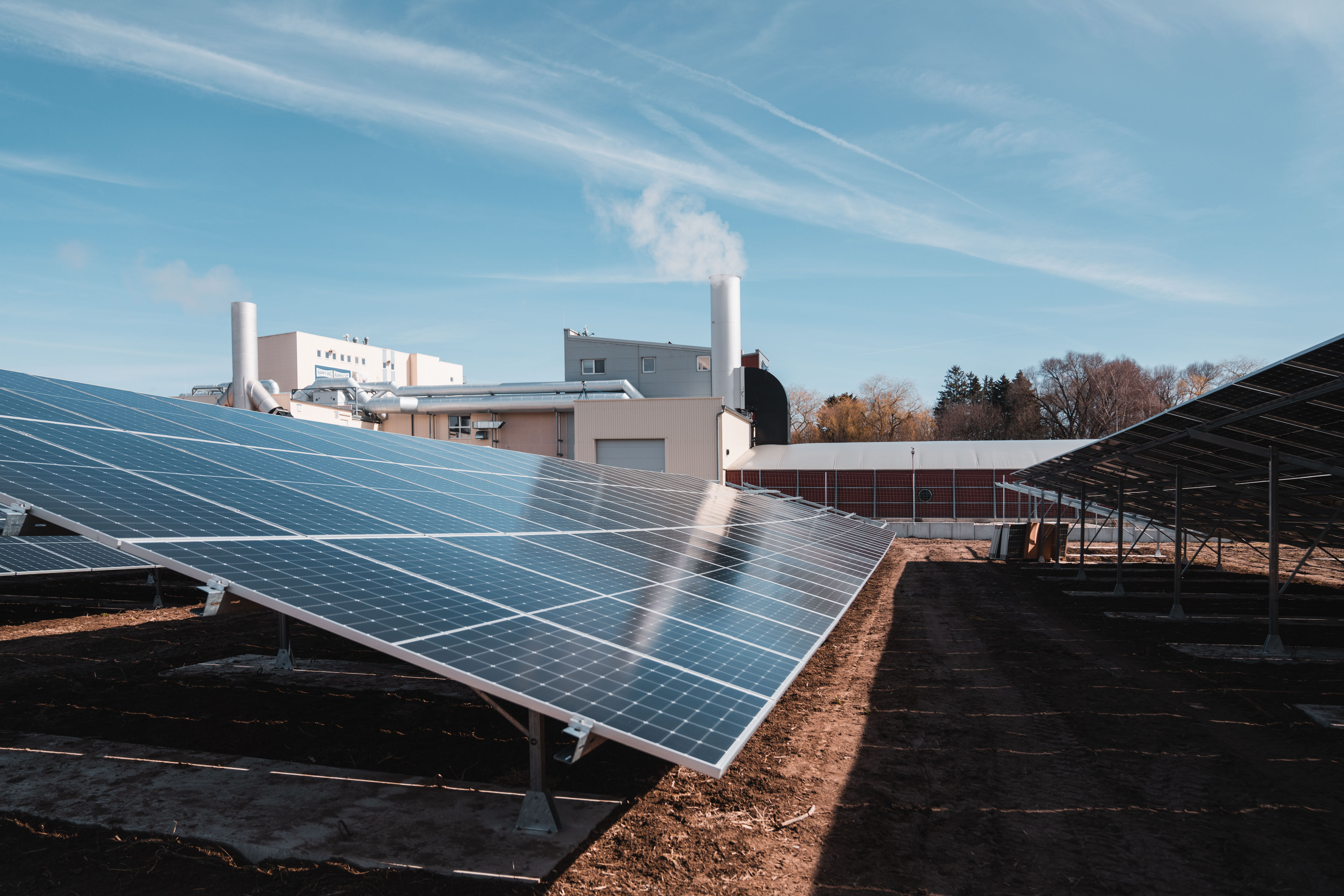 Solarfeld in Wehringen neben der Produktionsstätte von Hundefutter