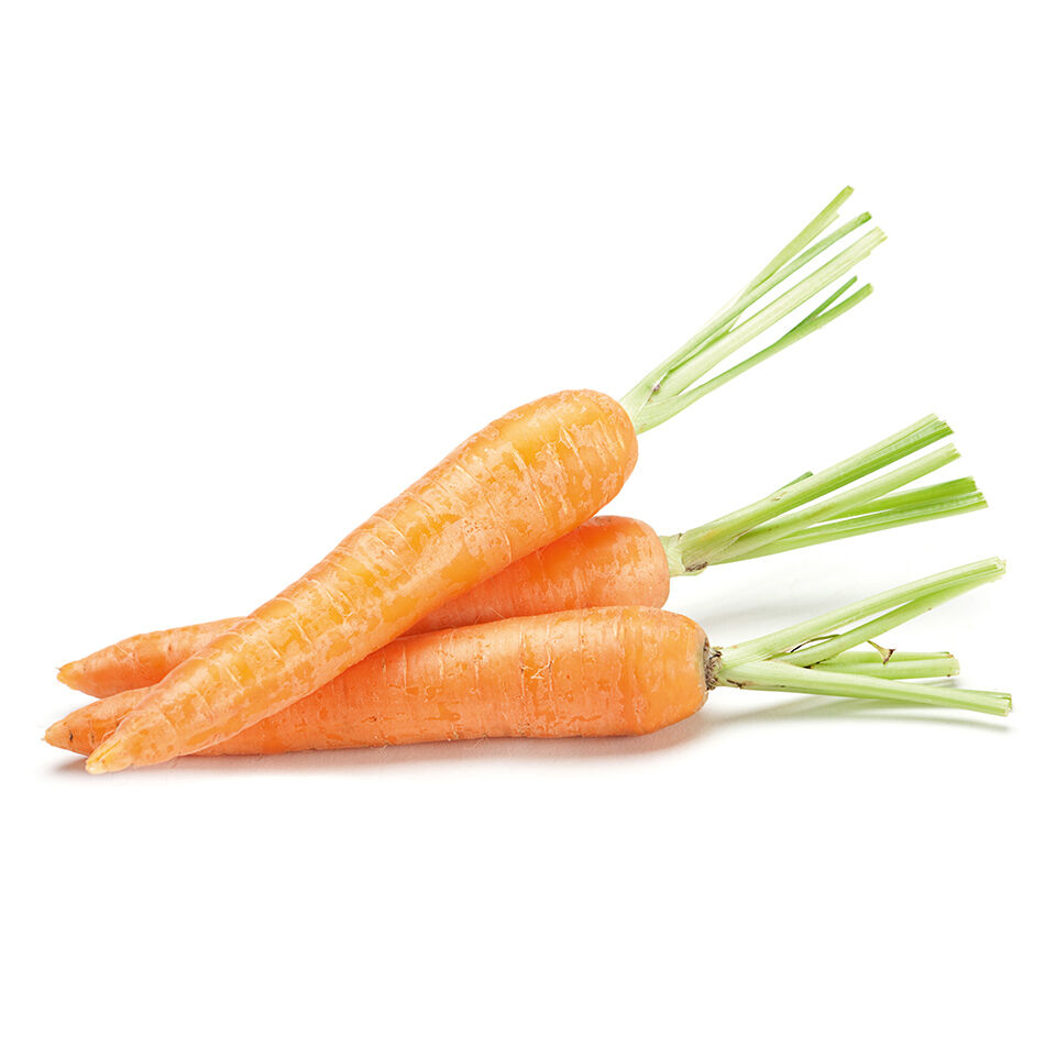 Drei frische Karotten mit abgeschnittenem Grün