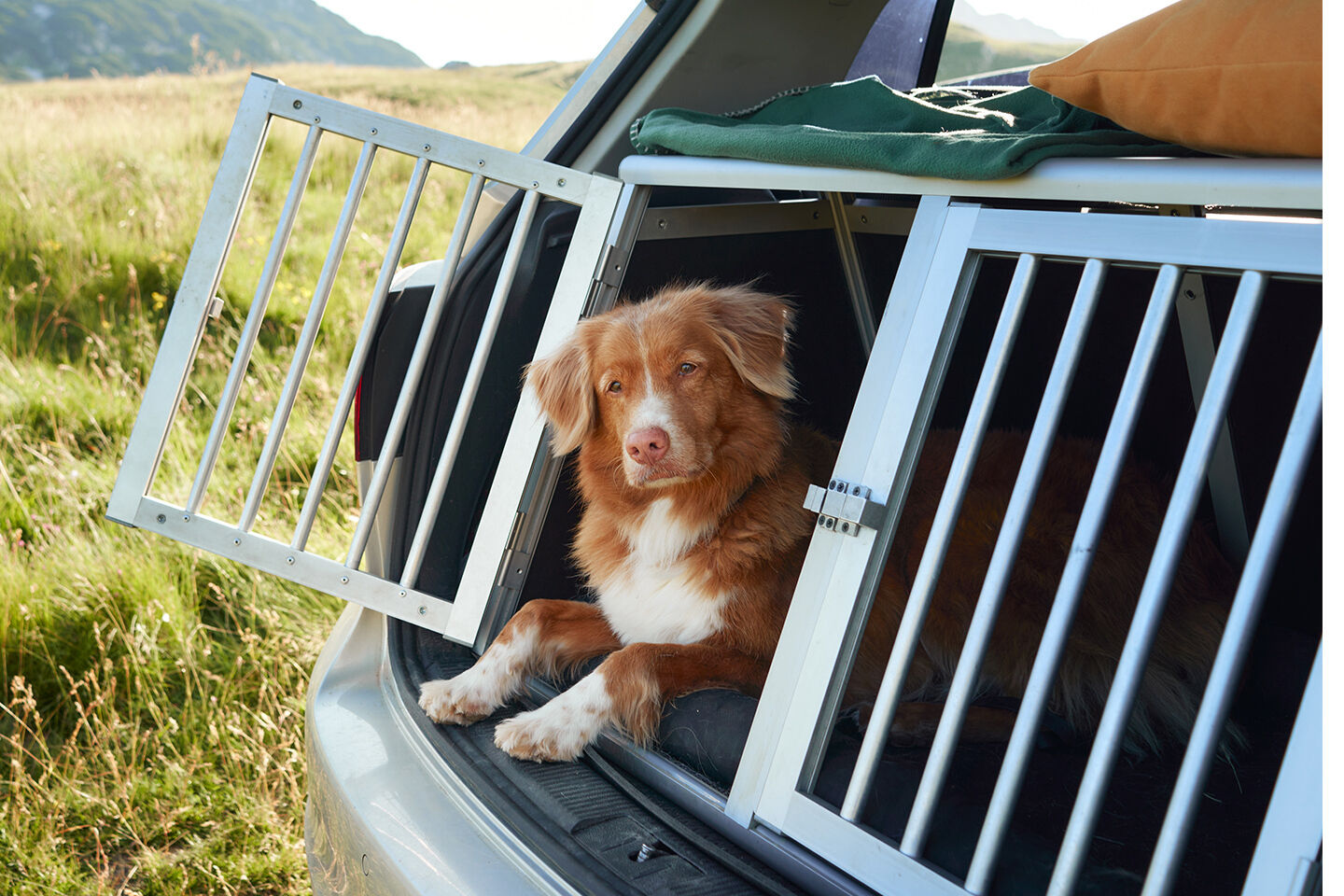 Jeep mit geöffnetem Kofferraum steht auf einer Wiese. Hund und Herrchen sitzen im Kofferraum.