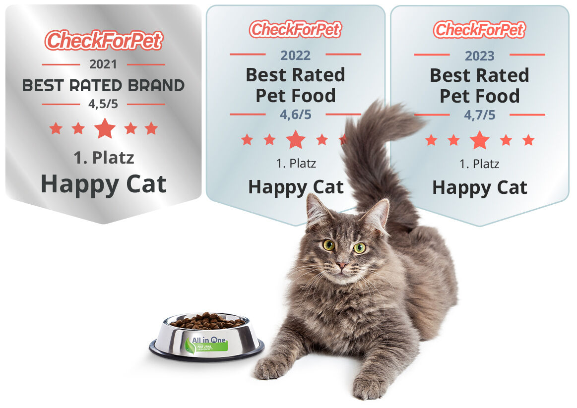 Graue Langhaarkatze mit Futternapf und Best Rated Pet Food Auszeichnungen