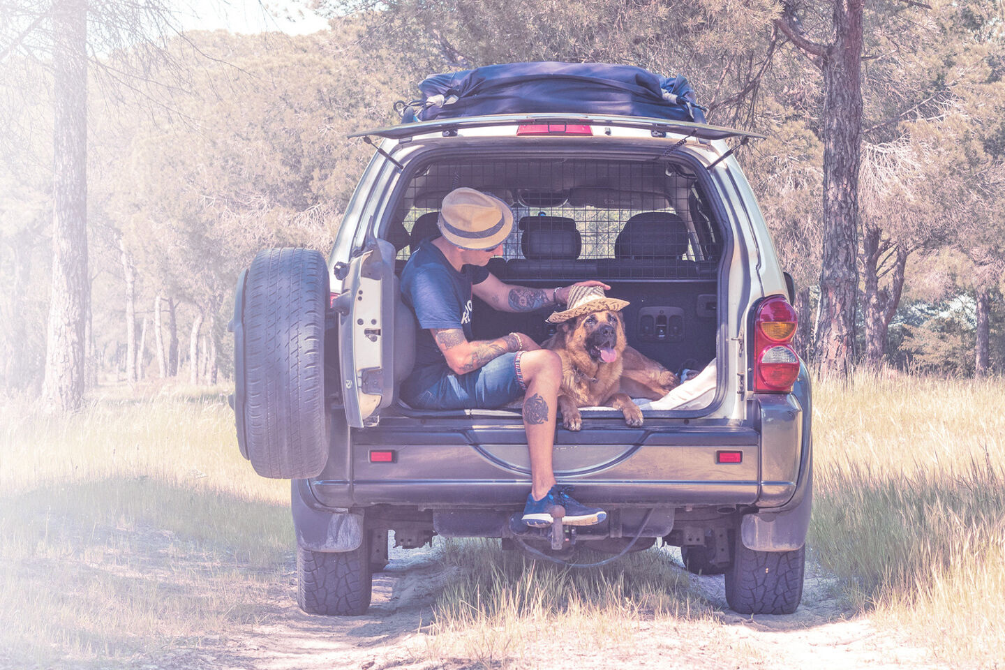 Jeep mit geöffnetem Kofferraum steht auf einer Wiese. Hund und Herrchen sitzen im Kofferraum.