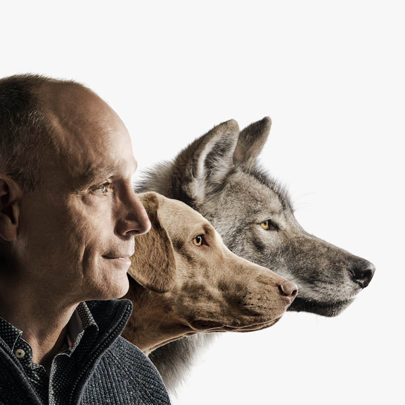 Das Gesicht von Georg Müller ist neben einem Hund und einem Wolf abgebildet.