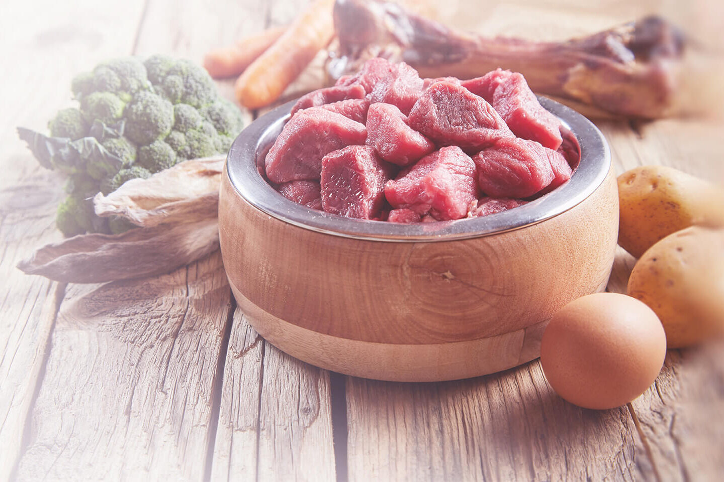Ein Napf mit rohem Fleisch, Gemüse und Eiern
