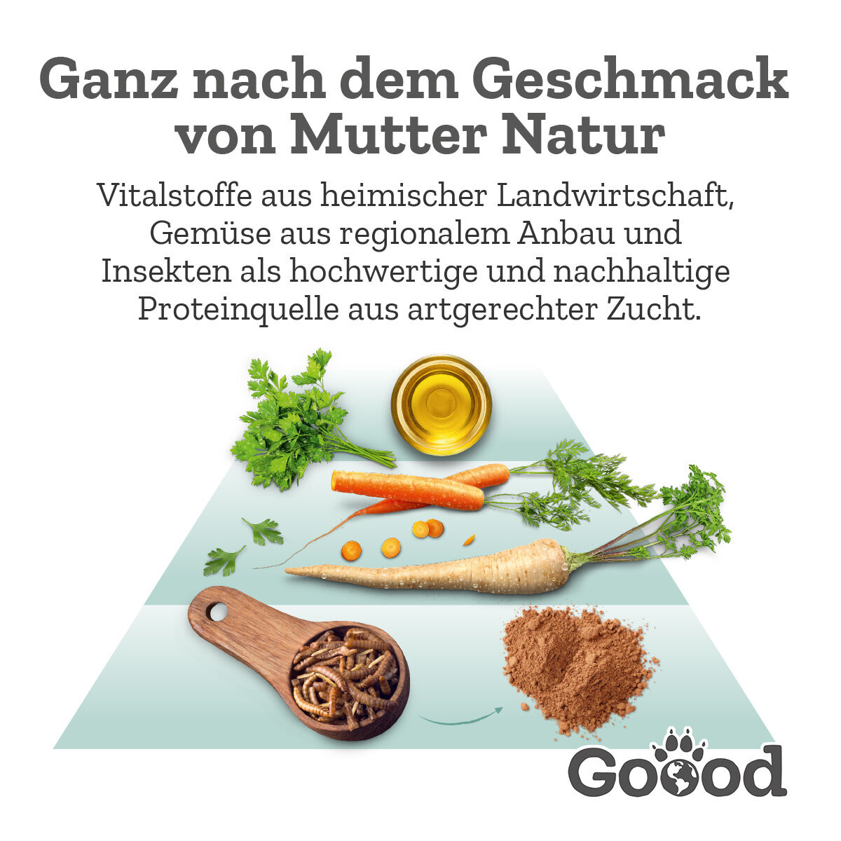 Text: „Ganz nach dem Geschmack von Mutter Natur. Vitalstoffe aus heimischer Landwirtschaft, regionalem Gemüse und Insekten als nachhaltige Proteinquelle aus artgerechter Zucht.“ Darunter Karotten, Petersilie, Öl, Insekten, Pulver. Marke Goood.