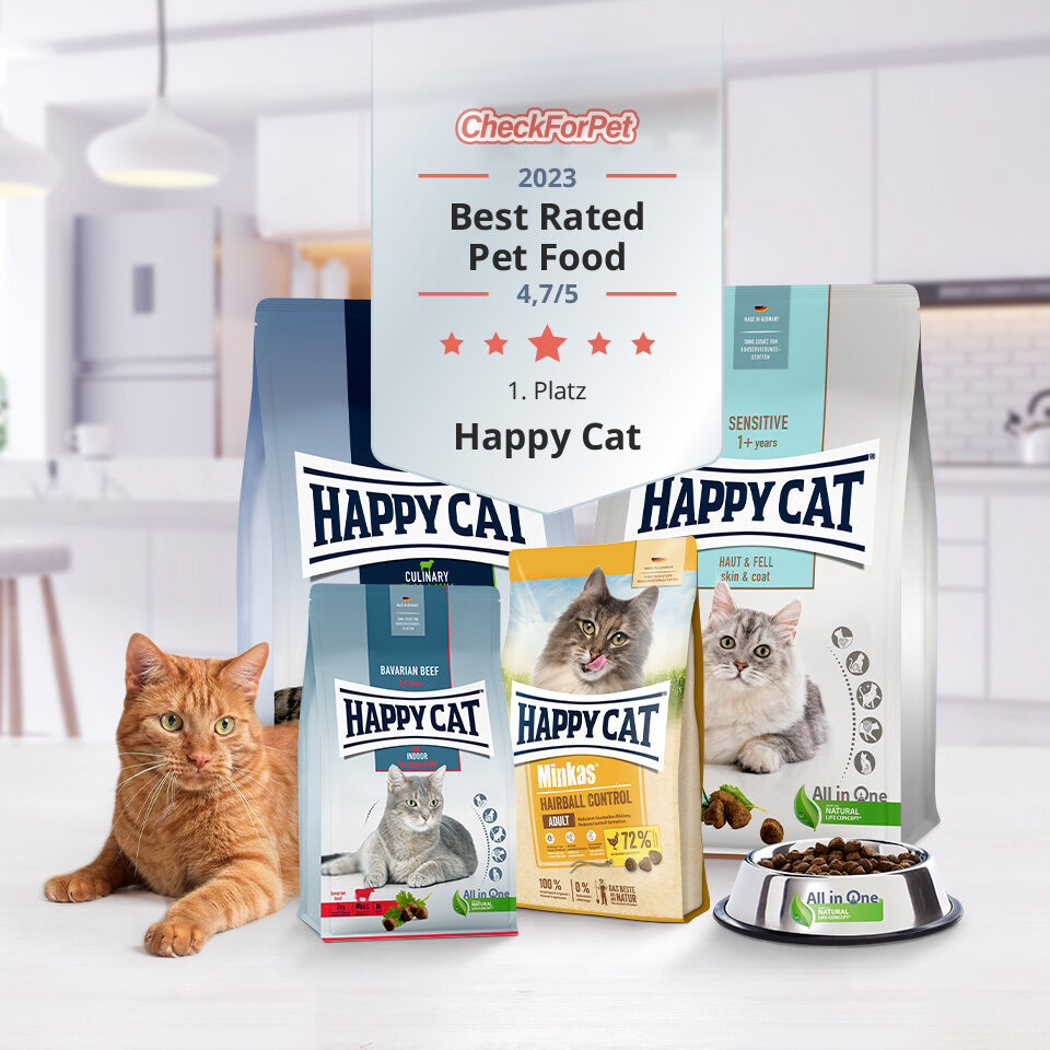 Eine orangefarbene Katze liegt neben Produkten von Happy Cat.