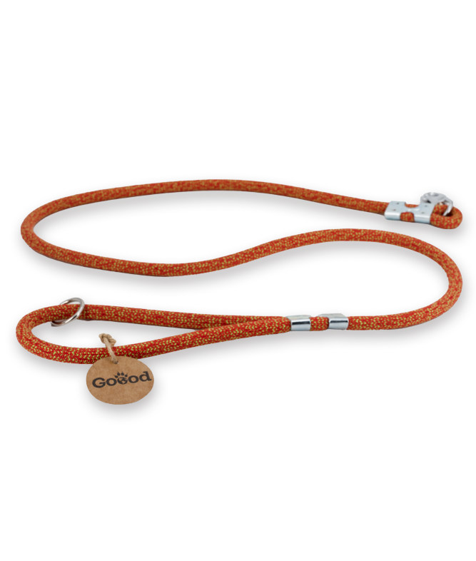 Orange Hundeleine mit gemustertem Design, Metallverschluss und Etikett mit „Goood“-Aufschrift; liegt lose auf hellem Hintergrund.