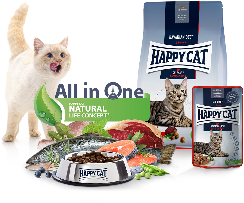 Happy Cat Culinary Voralpenrind Trocken- und Nassfutter zusammen mit einer schleckenden Katze und einem Futternapf