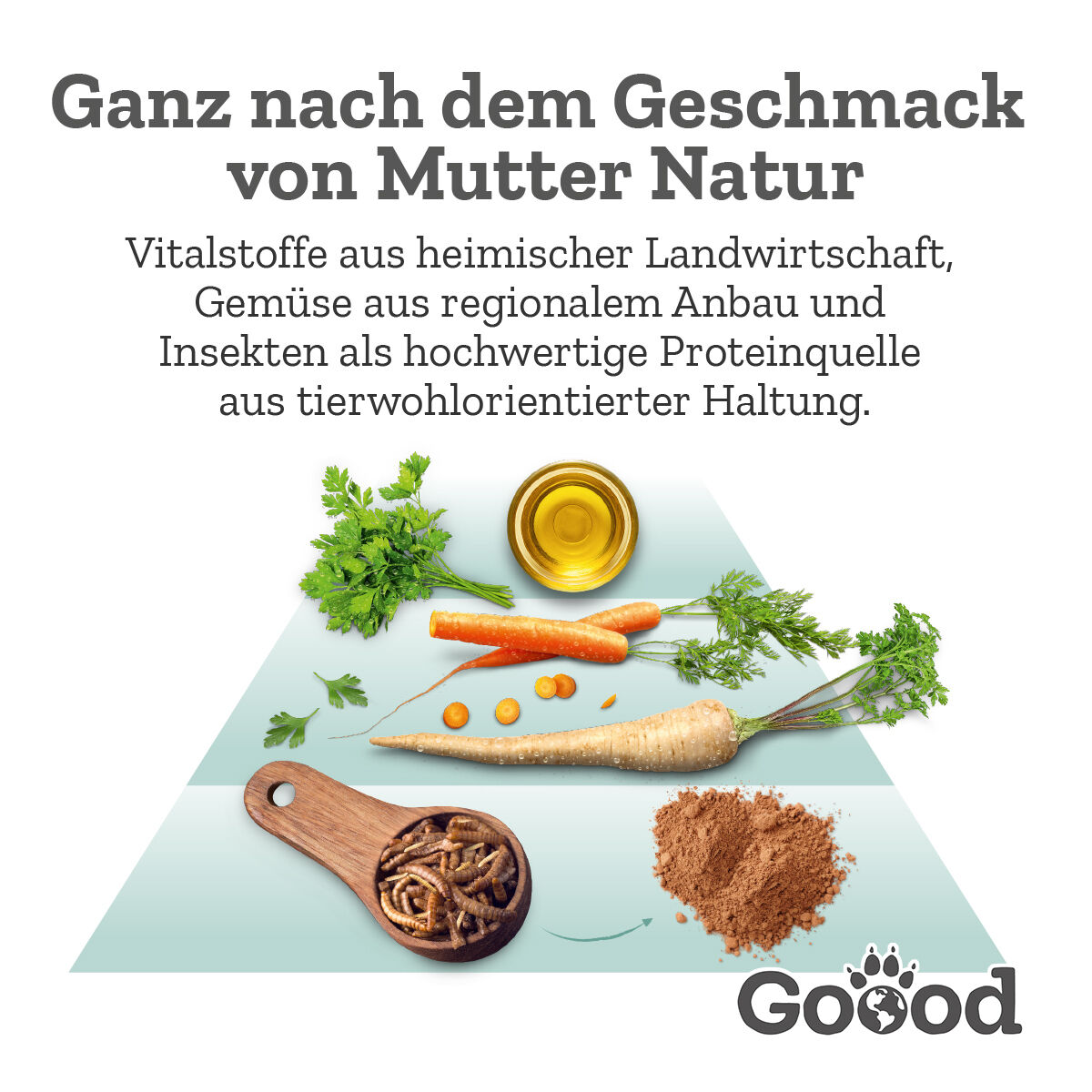 Text: „Ganz nach dem Geschmack von Mutter Natur. Vitalstoffe aus heimischer Landwirtschaft, regionalem Gemüse und Insekten als nachhaltige Proteinquelle aus artgerechter Zucht.“ Darunter Karotten, Petersilie, Öl, Insekten, Pulver. Marke Goood.
