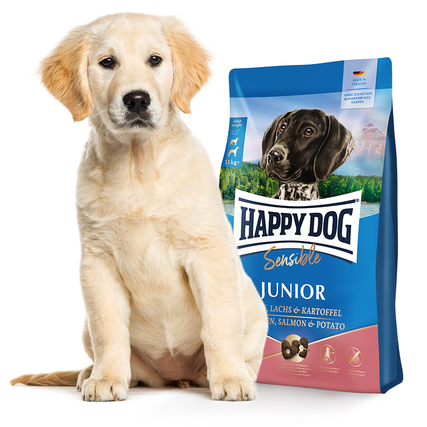 Ein junger Hund sitzt neben einer Happy Dog Sensible Junior-Futterverpackung mit Lachs und Kartoffelgeschmack. Auf der Verpackung ist ein Hundekopf und Landschaft abgebildet.