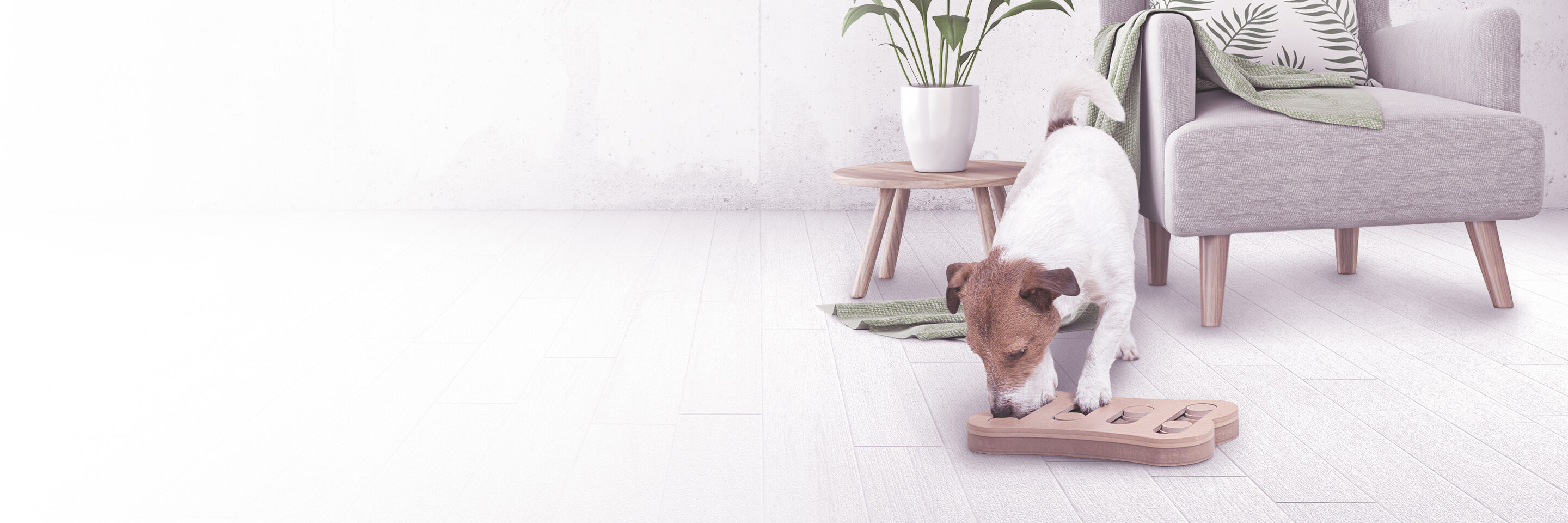 Ein kleiner Hund spielt mit drinnen mit einem Intelligenzspiel.