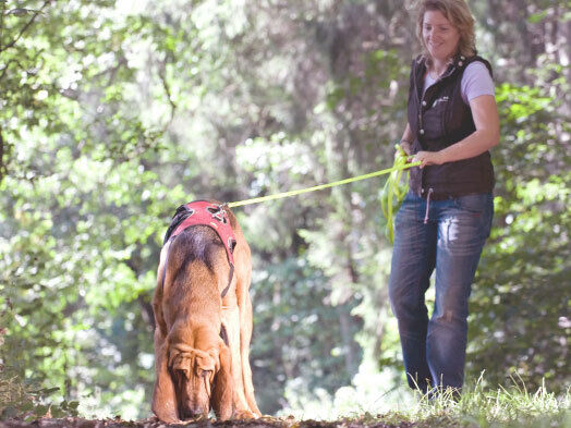 Alex Grunow mit einem Suchhund im Einsatz
