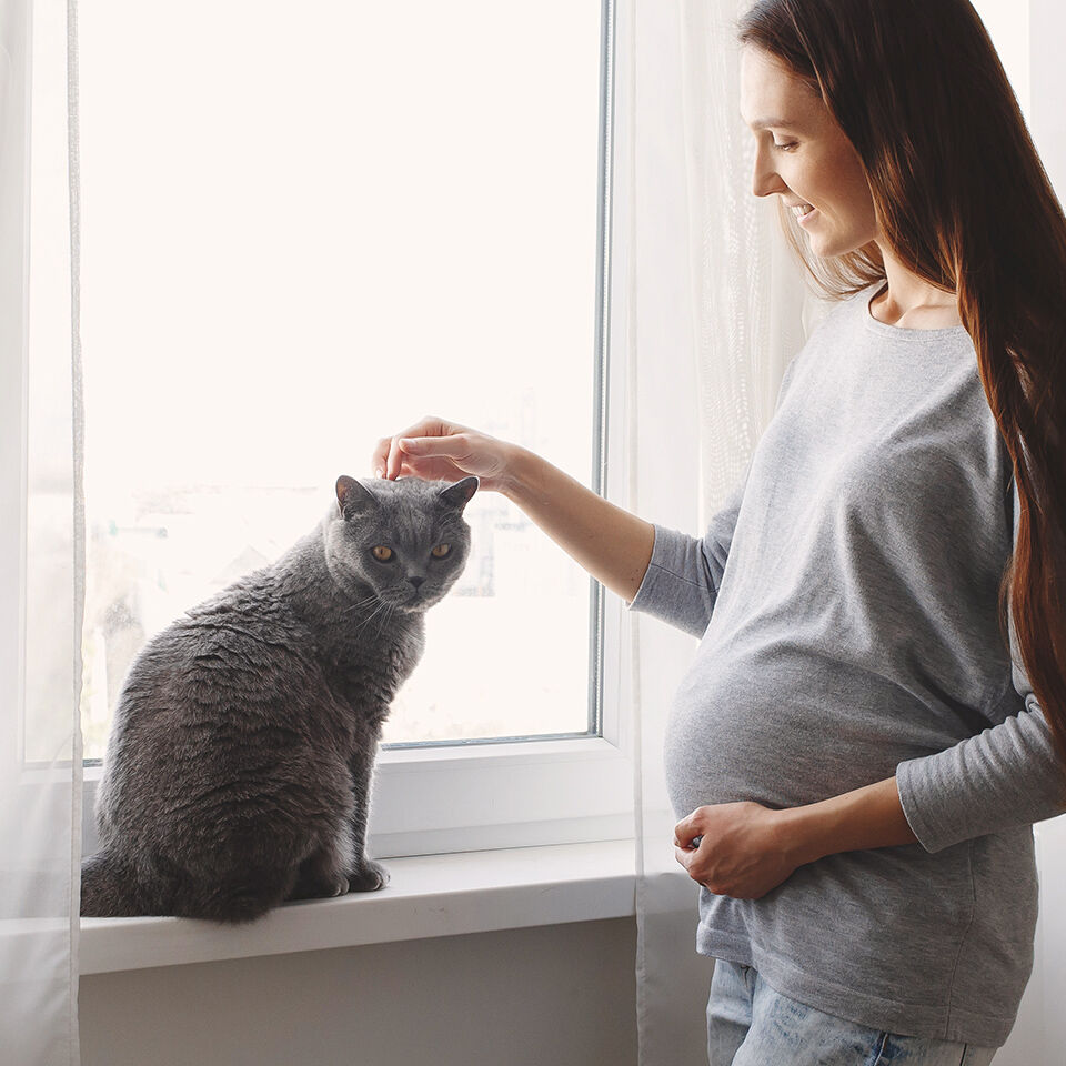 Eine schwangere Frau steht am Fenster und streichelt ihre Katze, die auf dem Fenstersims sitzt