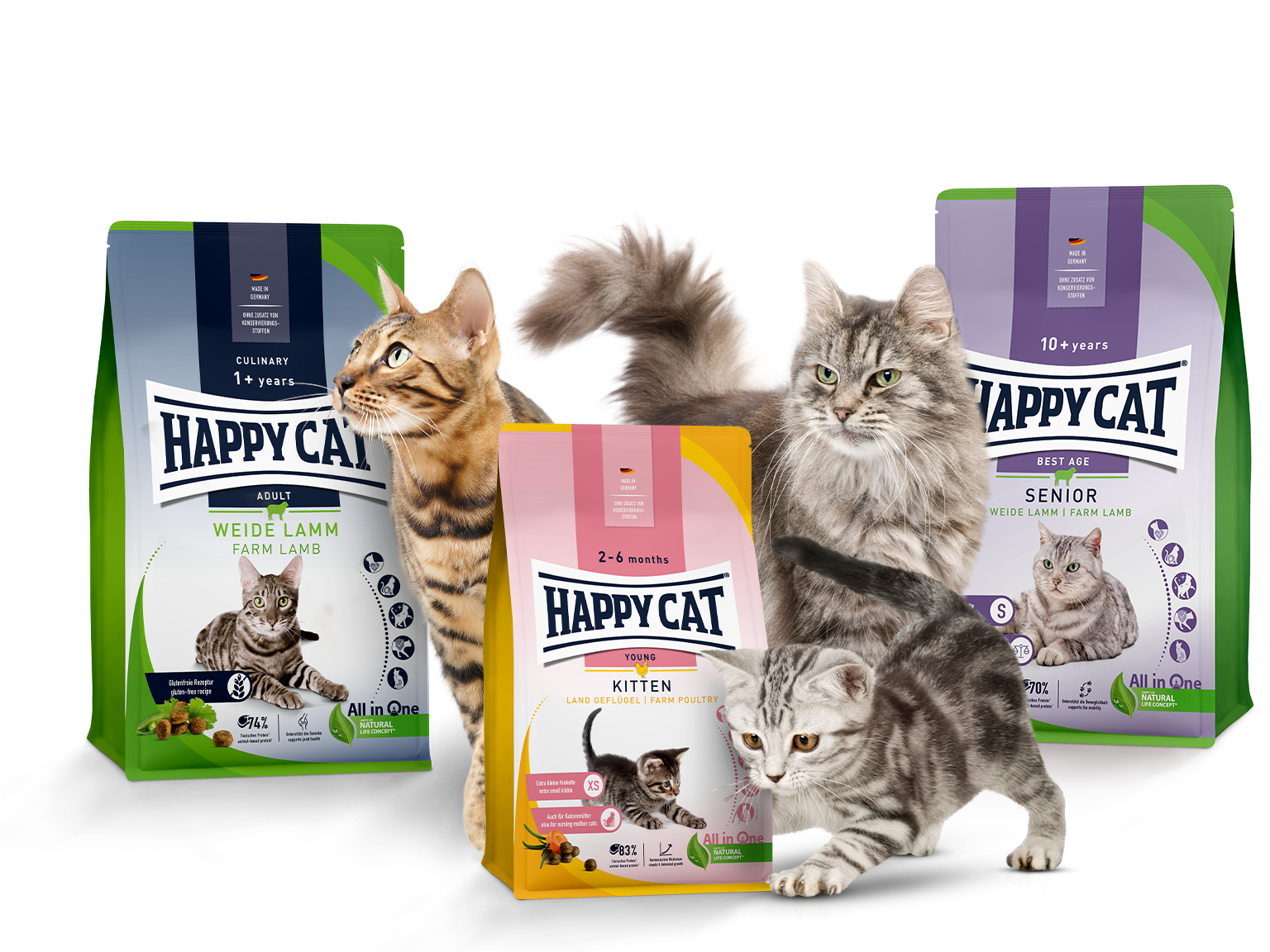 Drei Futterpackungen und drei Katzen, die um die Packungen herum schleichen