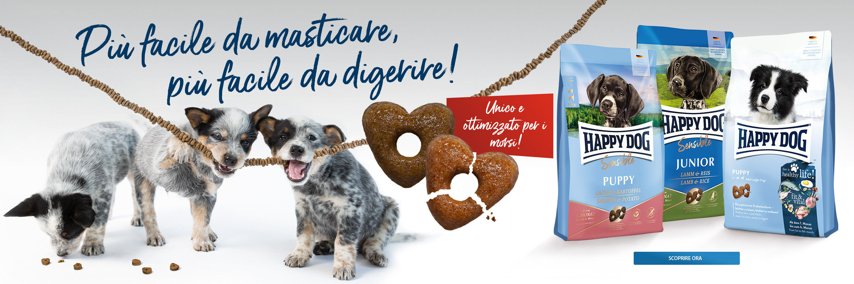 Drei Welpen kauen an einer Schnur mit Kroketten. Daneben stehen Futtersäcke von Happy Dog.