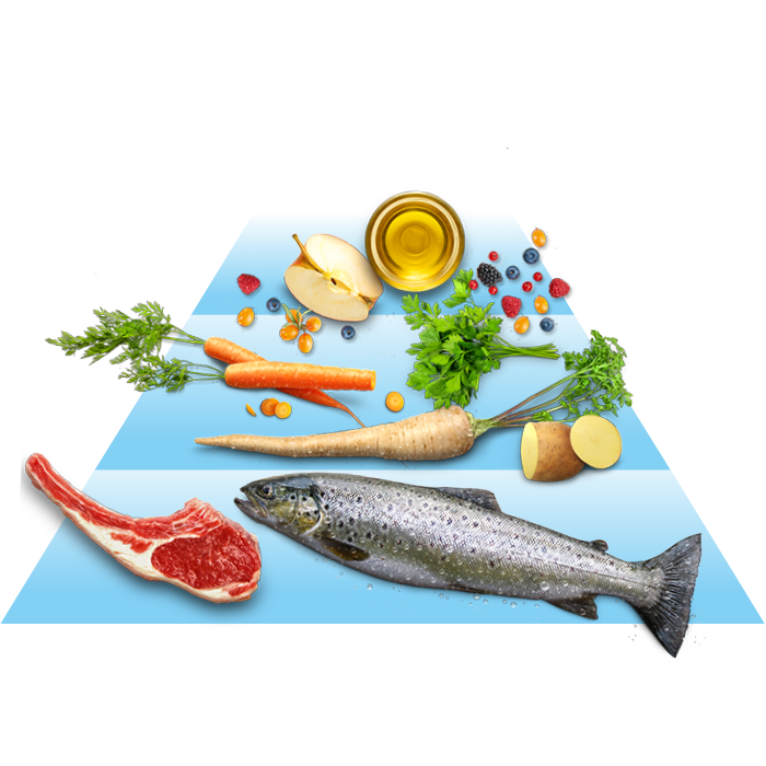 Eine Pyramide mit Fleisch, Fisch, Gemüse und Ölen wird dargestellt.