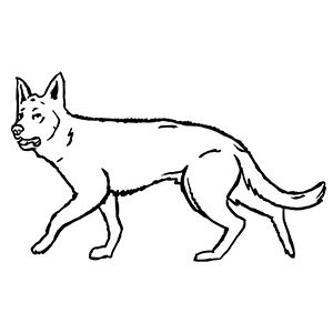Icon eines Wolfs.