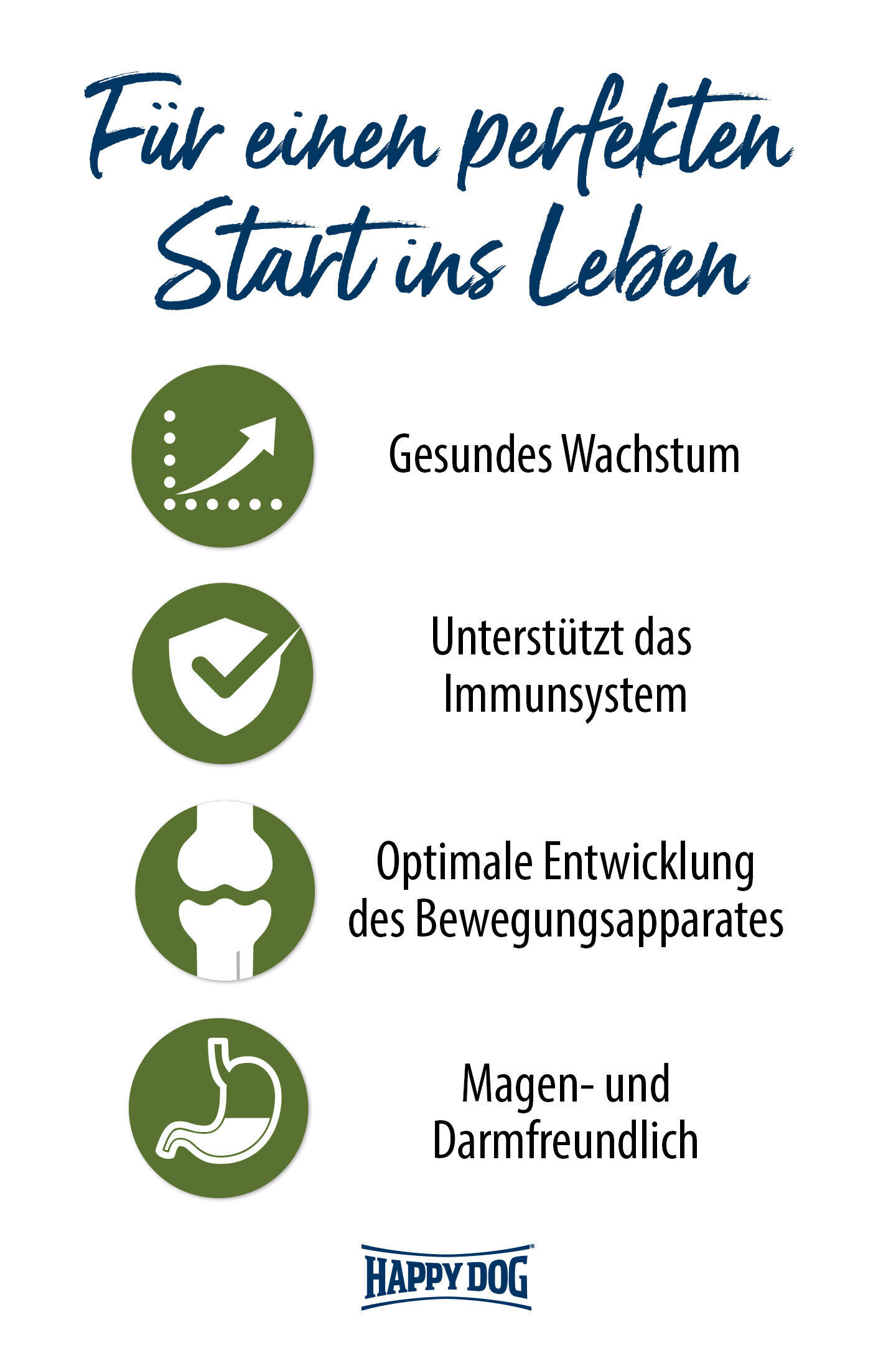 Textgrafik: „Für einen perfekten Start ins Leben“ mit vier Symbolen und Texten: „Gesundes Wachstum“, „Unterstützt das Immunsystem“, „Optimale Entwicklung des Bewegungsapparates“, „Magen- und Darmfreundlich“, darunter „Happydog“-Logo.