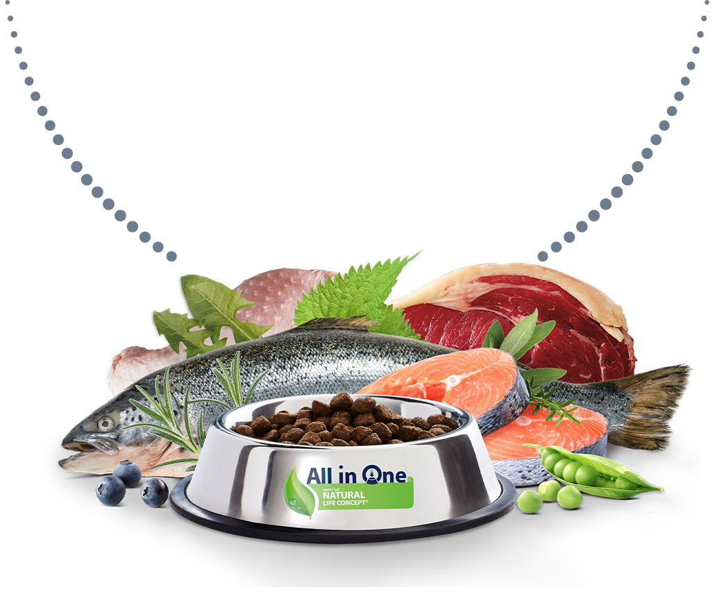 Futternapf mit Zutaten dahinter: Fisch, Fleisch, Heidelbeeren, Erbsen und Kräuter