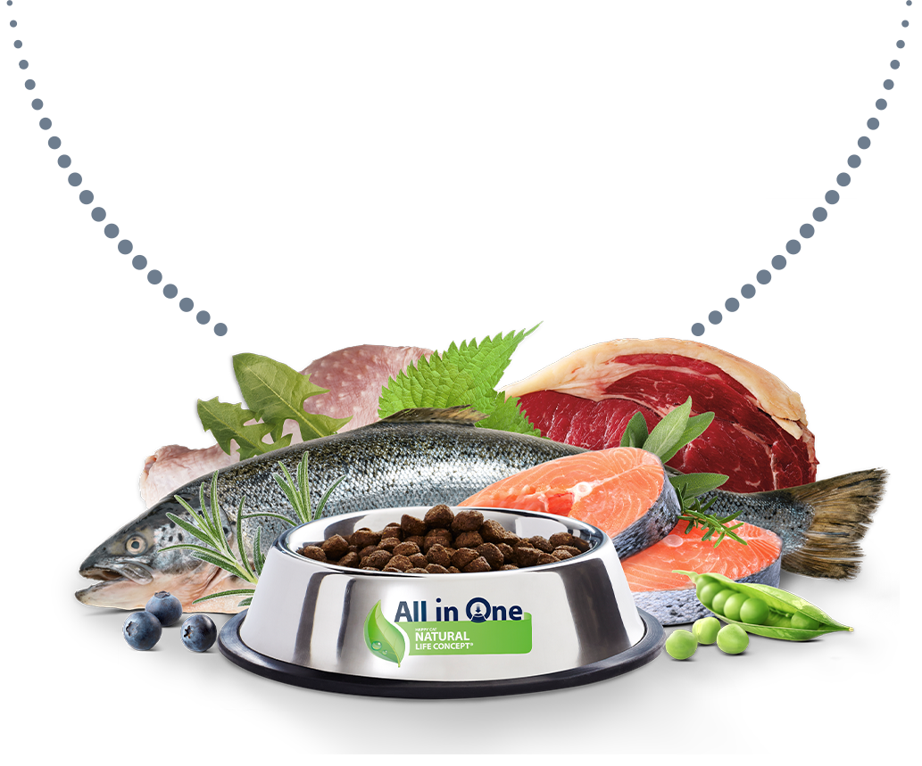 Futternapf mit Zutaten dahinter: Fisch, Fleisch, Heidelbeeren, Erbsen und Krรคuter