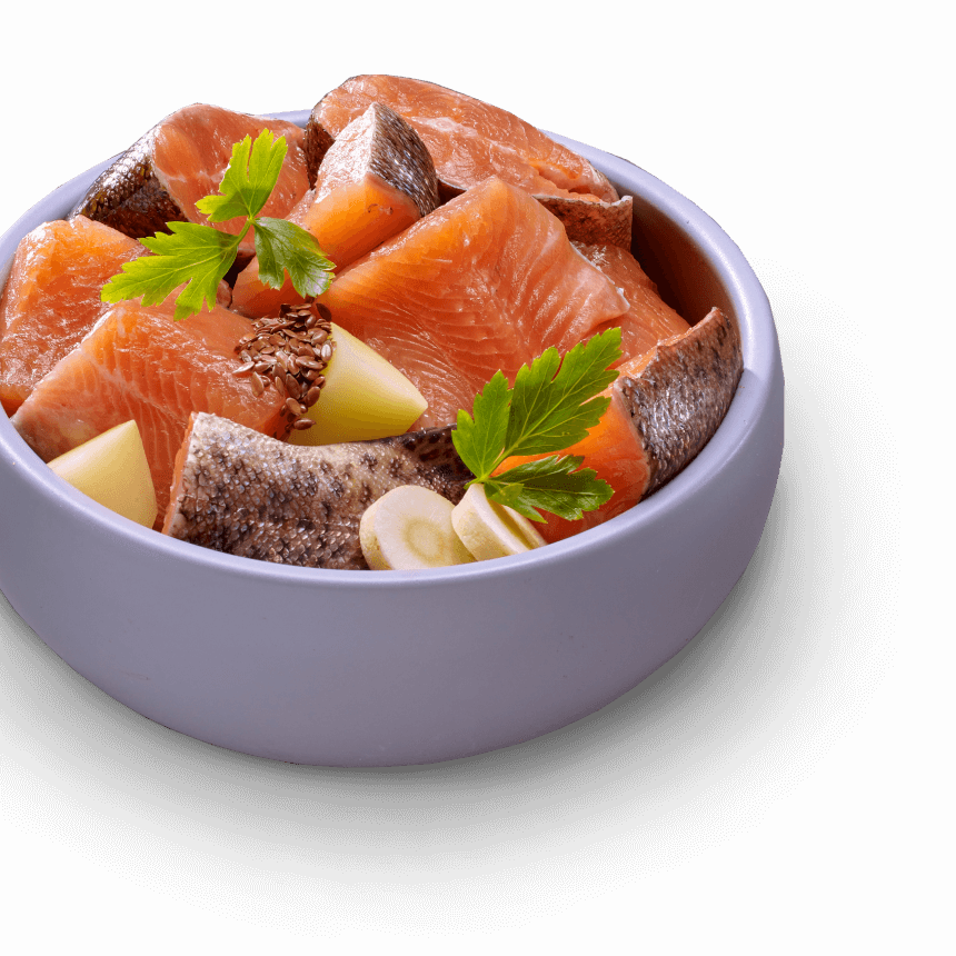 Ein Napf gefüllt mit Lachs und Gemüse.