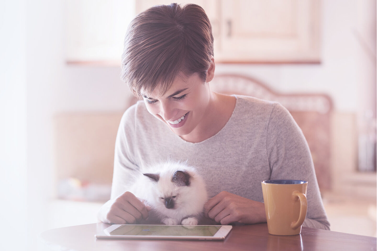 Weißes Kätzchen und ihr lächelndes Frauchen schauen gemeinsam in ein Tablet