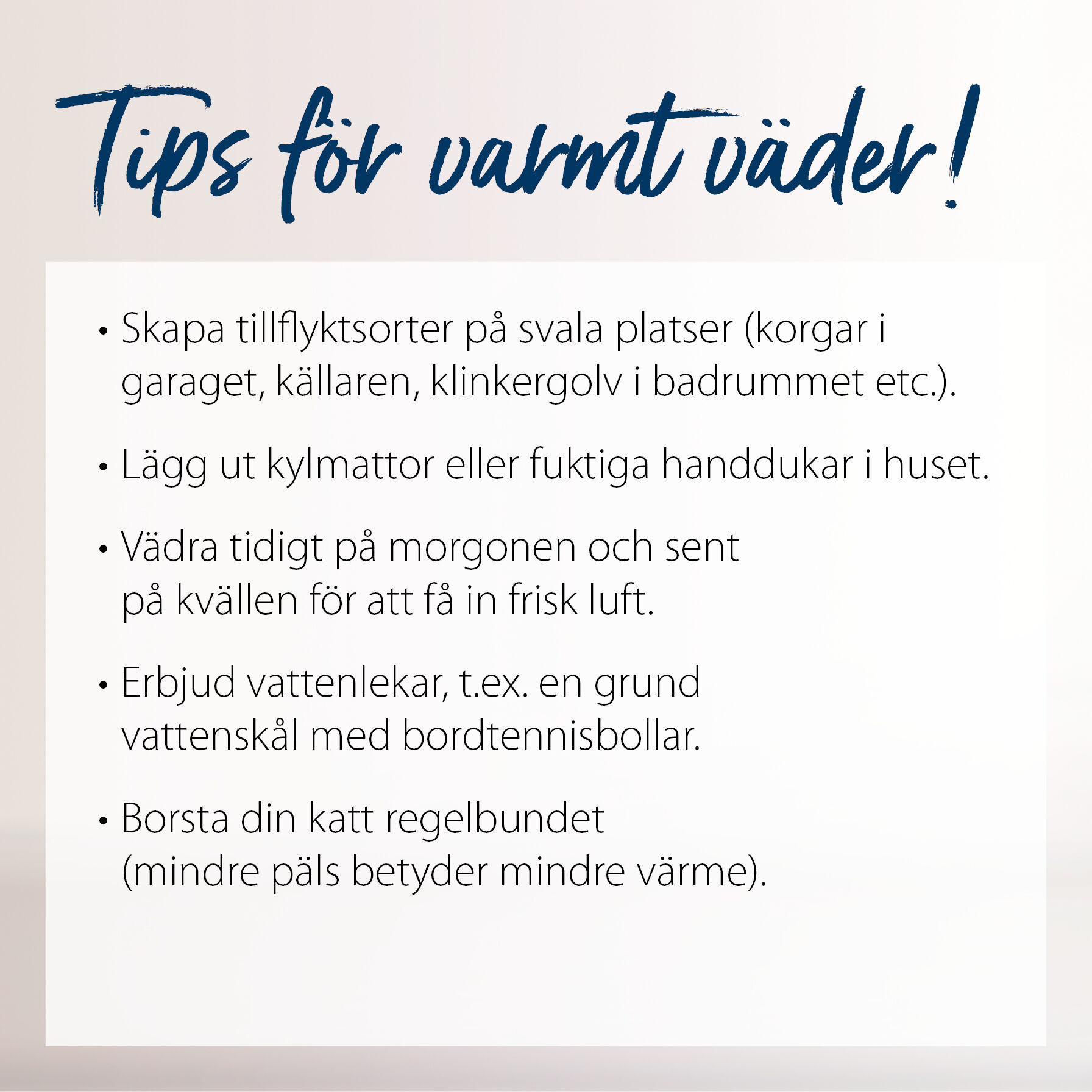 Auflistung mit Tipps bei Hitze für Katzen.