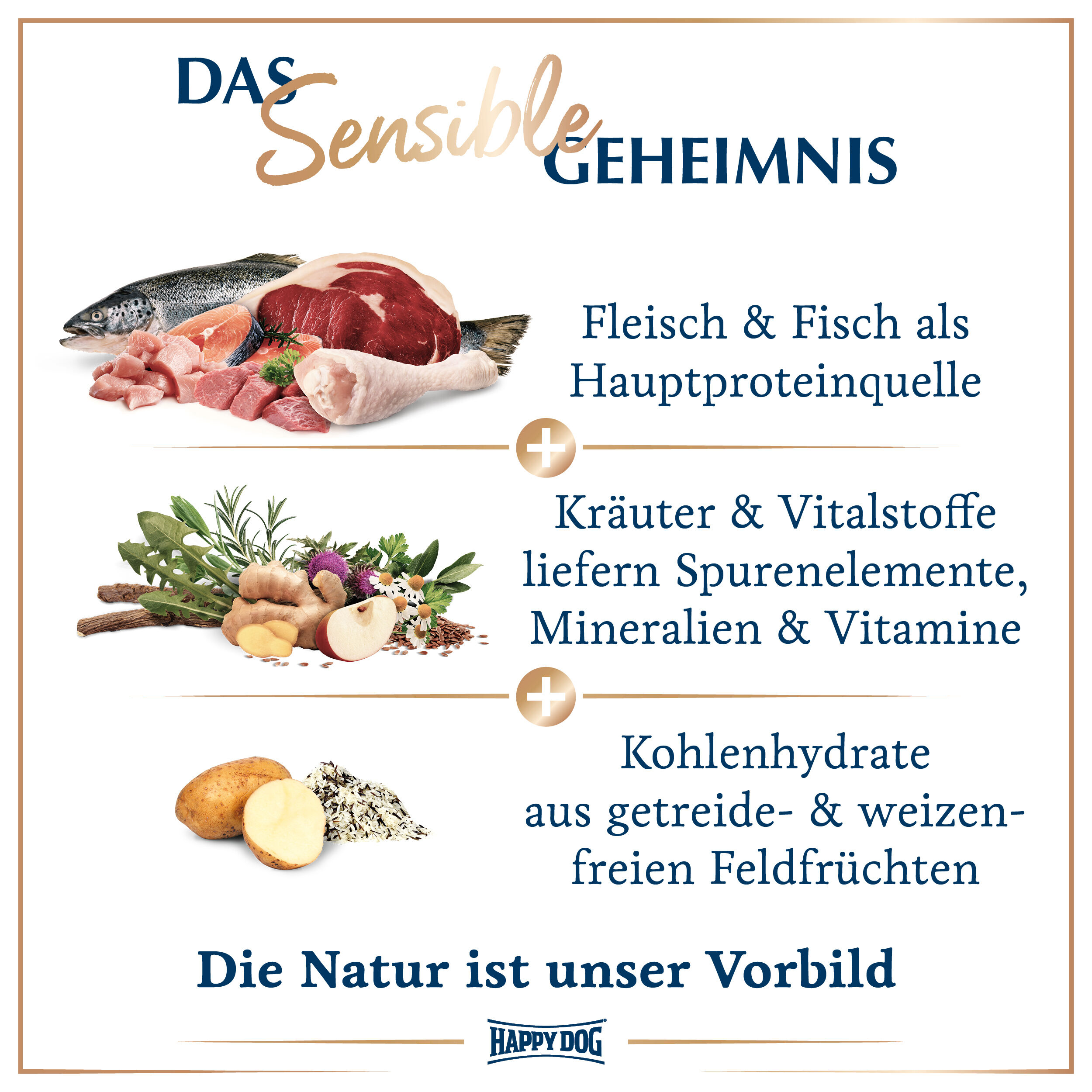 Ansammlung von Fleisch, Fisch, Kräutern und Kartoffeln als Zutaten. Text: „Das Sensible Geheimnis“, „Die Natur ist unser Vorbild“, „Ohne künstliche Farb-, Aroma- und Konservierungsstoffe“, „Ohne Zuckerzusatz, Gentechnik, Soja“. Happydog-Logo sichtbar.