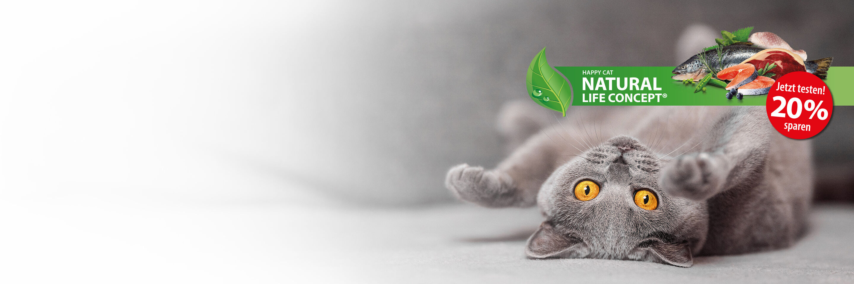 Eine graue British Kurzhaarkatze liegt auf dem Rücken am Boden. Über ihr schwebt ein Futternapf