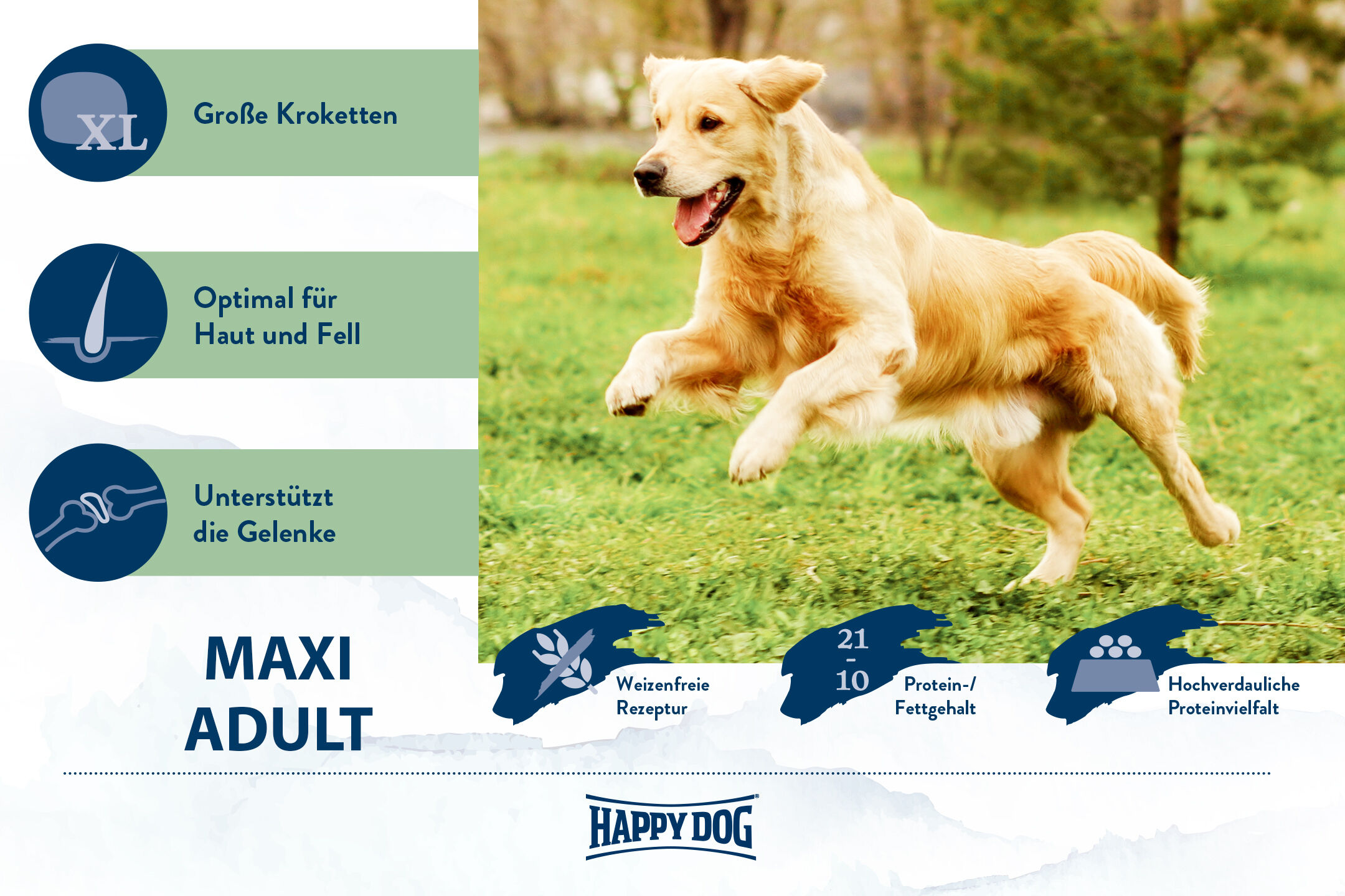 Ein springender Hund auf grünem Gras; daneben Text: "Große Kroketten, Optimal für Haut und Fell, Unterstützt die Gelenke." Marke: Happydog, Produkt: Maxi Adult.