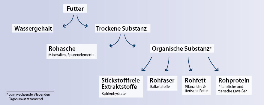 Die Bestandteile von Katzenfutter werden grafisch dargestellt.