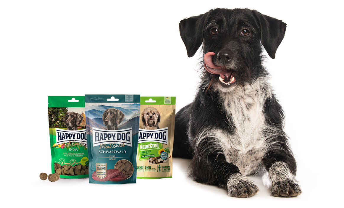 Ein Hund schleckt sich das Maul, weil er Leckerlis bekommen hat