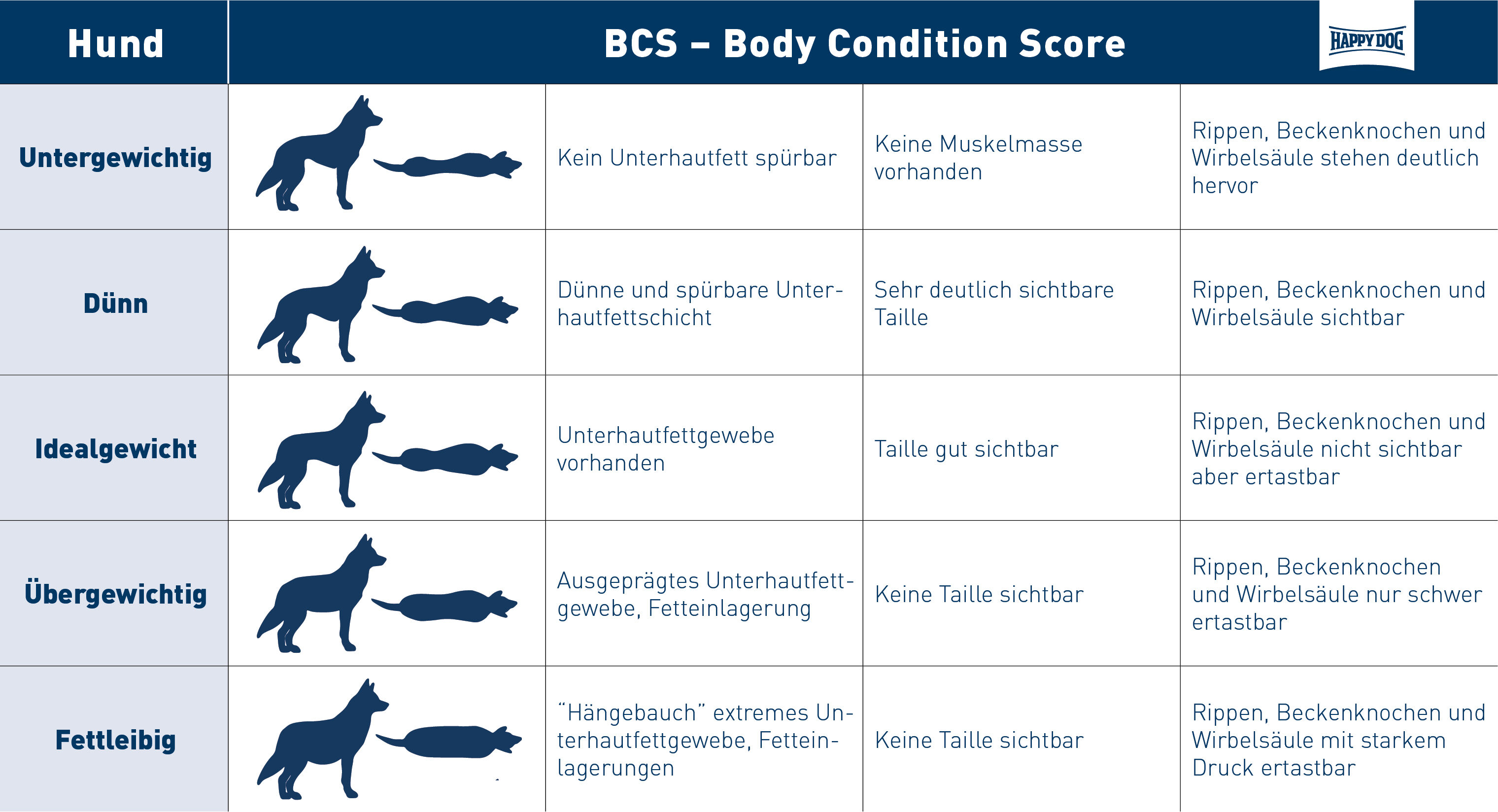 Übersicht der verschiedenen Body Condition Scores bei Hunden.